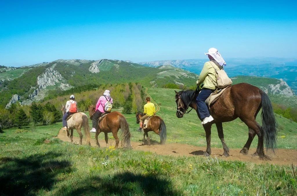 Group of people riding horses on a grassy trail in a scenic mountainous landscape on a sunny day.