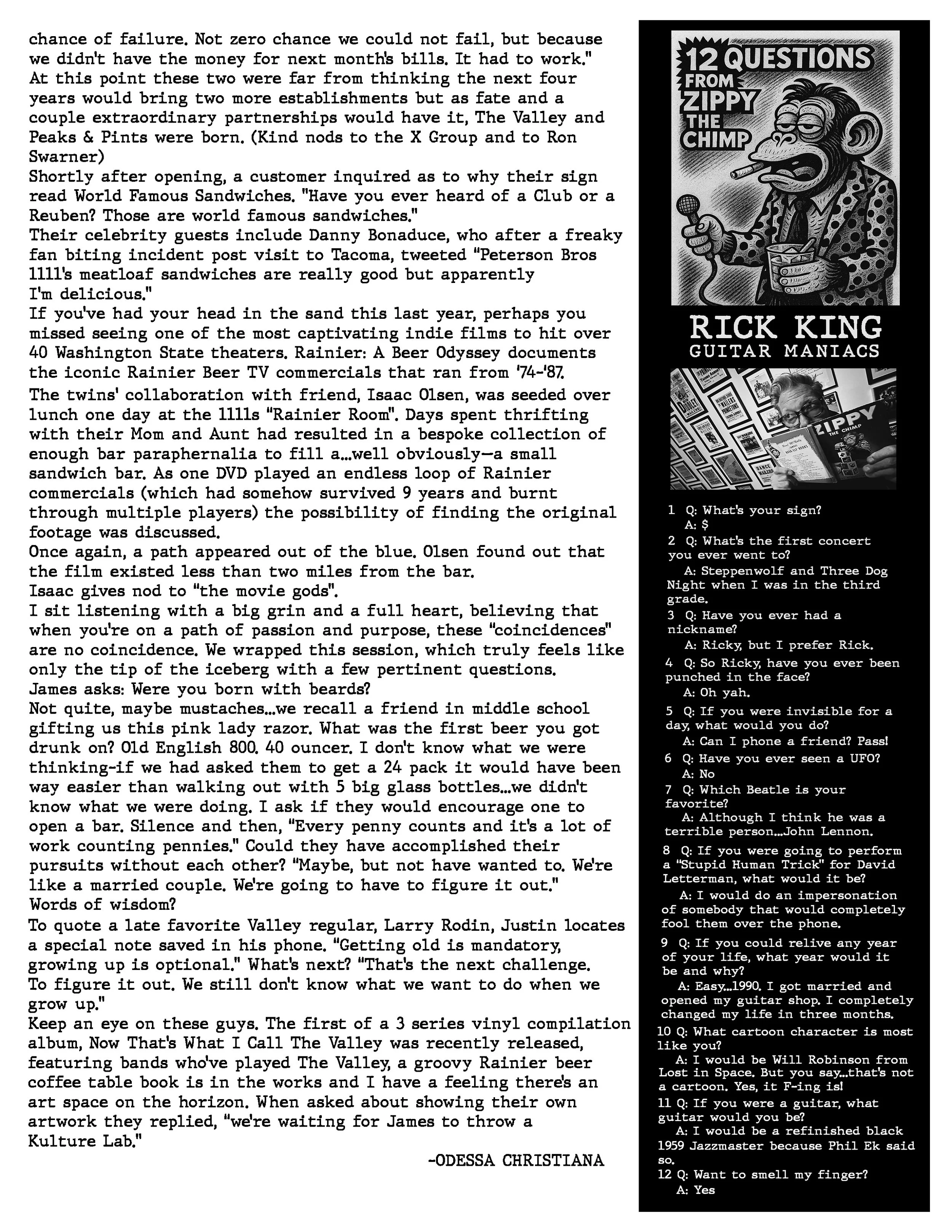 underground-sound-zine-advertising-preview-page-5.jpg