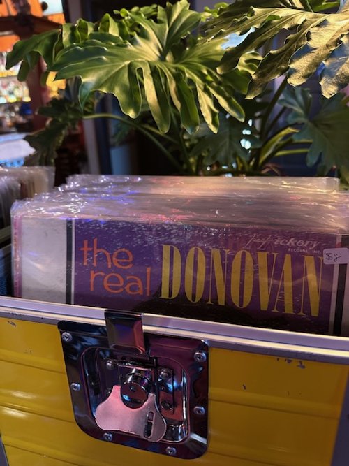 Will the Real Donovan please stand up?