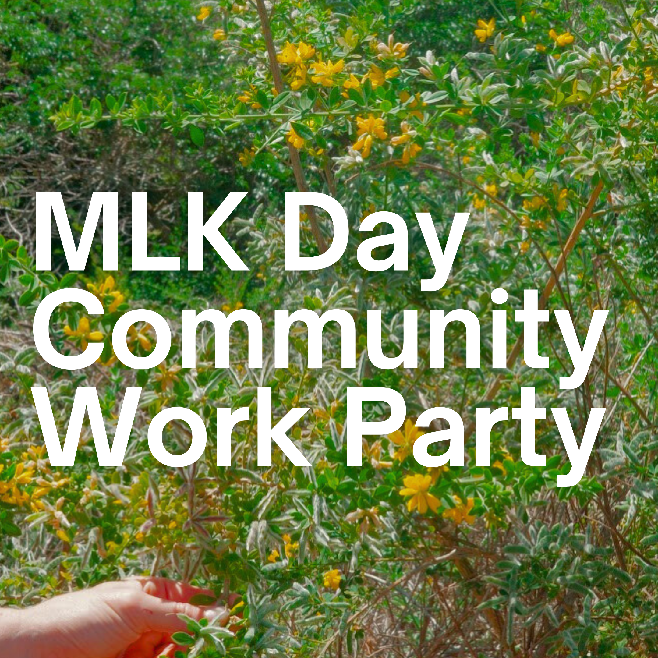 MLK Community Party