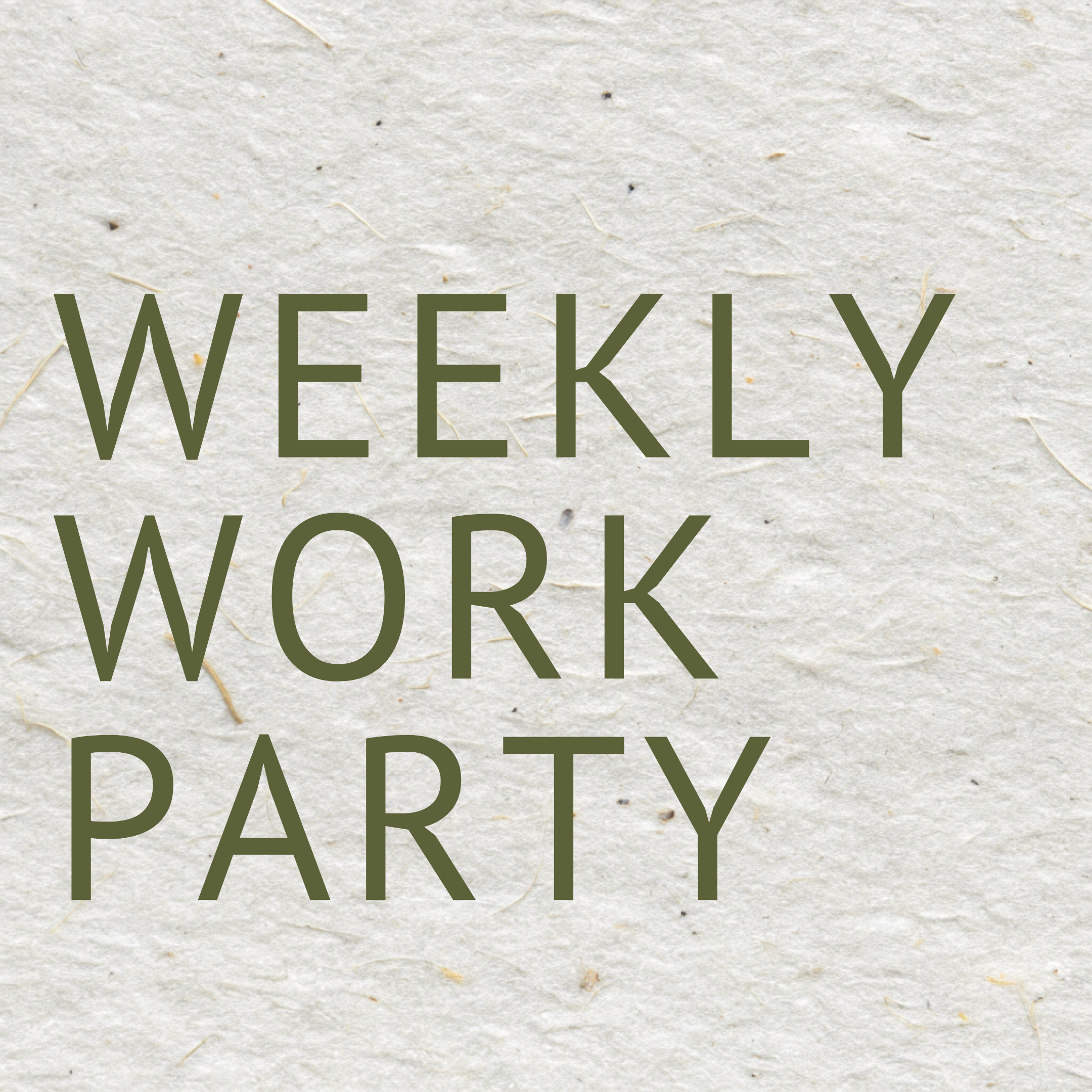 Weekly Work Party
