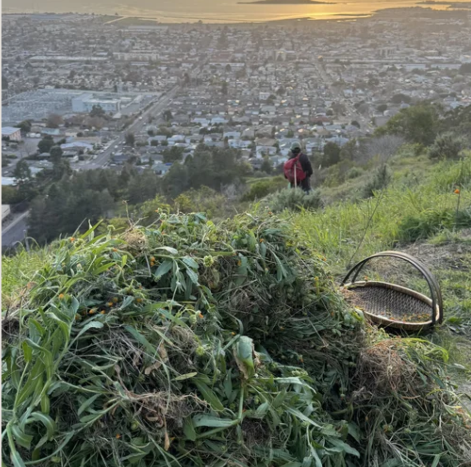 Screenshot 2026-03-19 at 9.35.11 PM.png