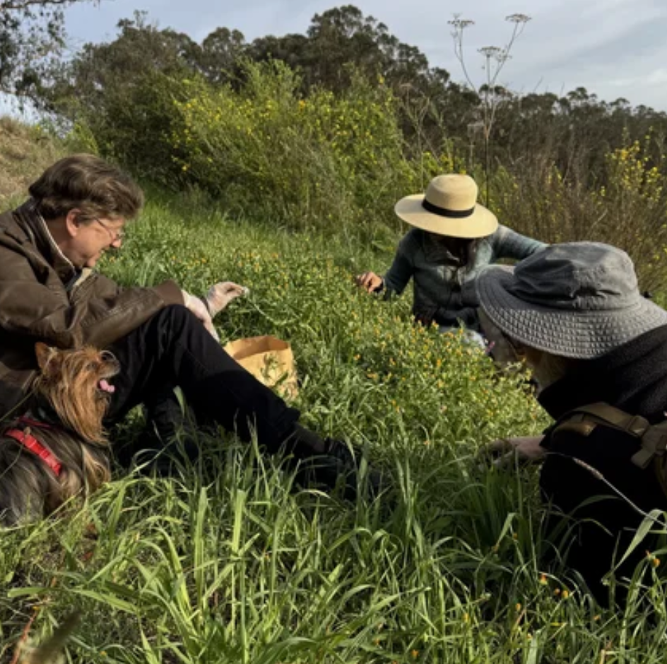 Screenshot 2026-03-19 at 9.34.59 PM.png