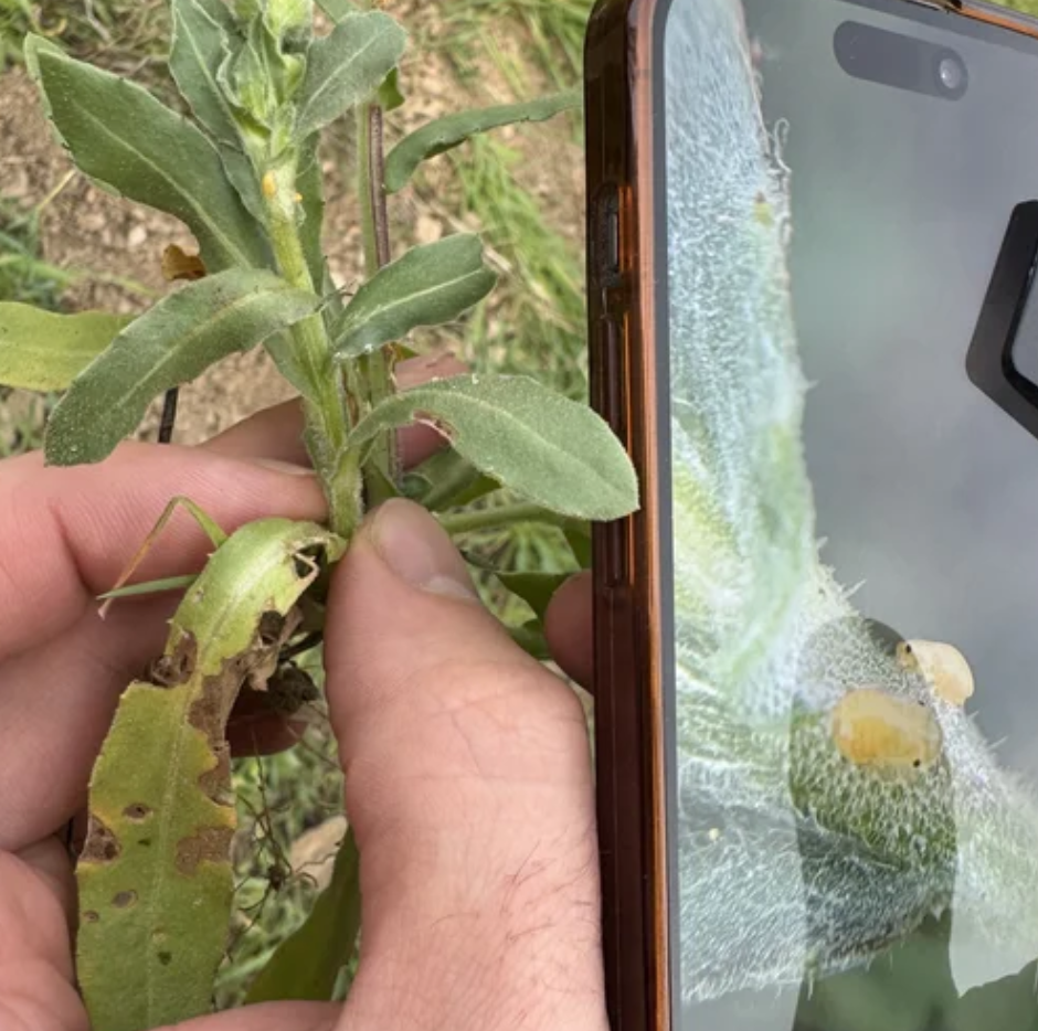 Screenshot 2026-03-19 at 9.34.43 PM.png