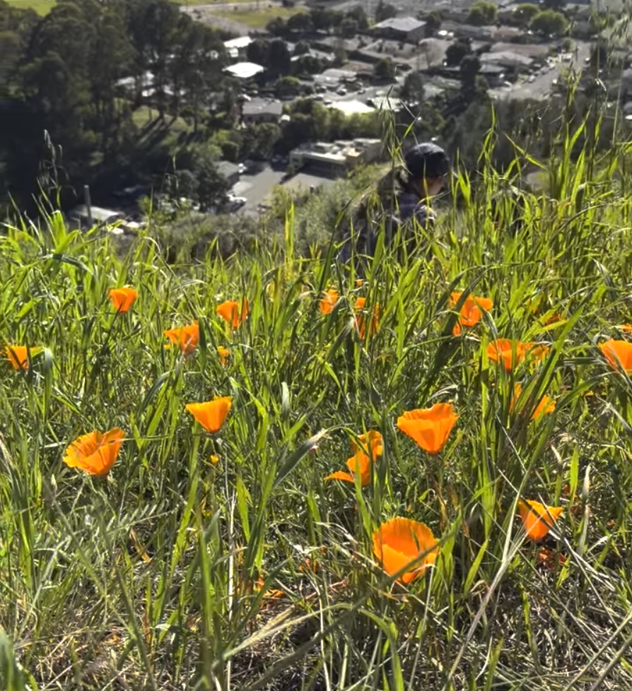 Screenshot 2026-03-19 at 9.40.06 PM.png