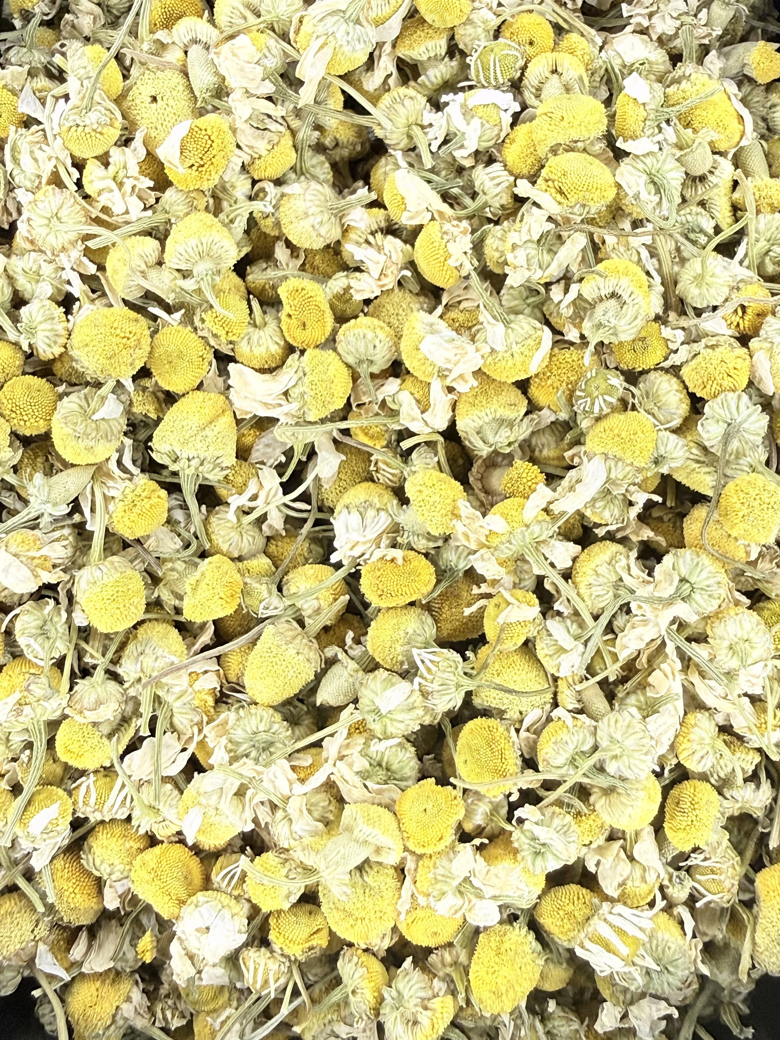 Golden Chamomile Blossom