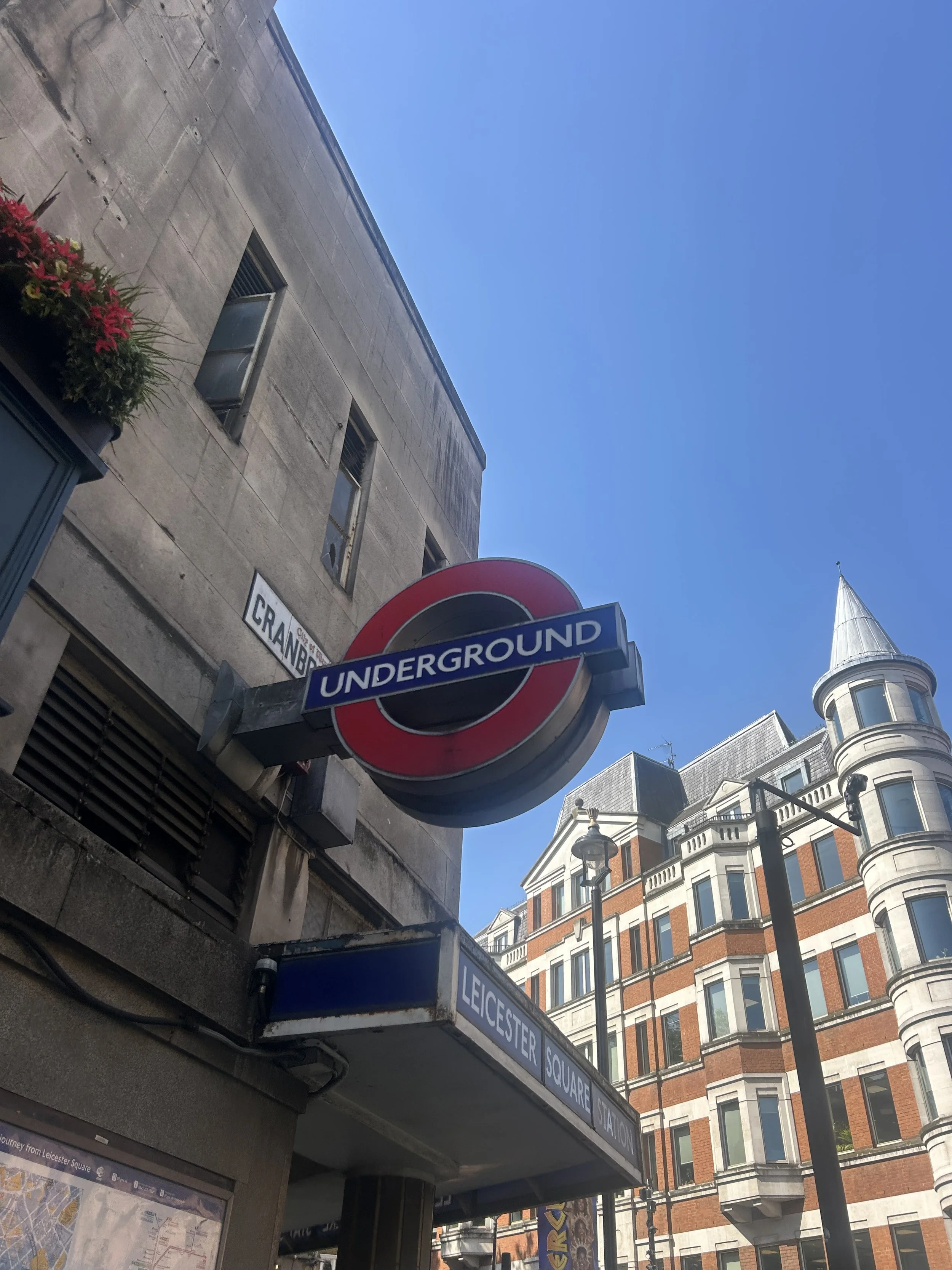 IMG_2118.jpeg