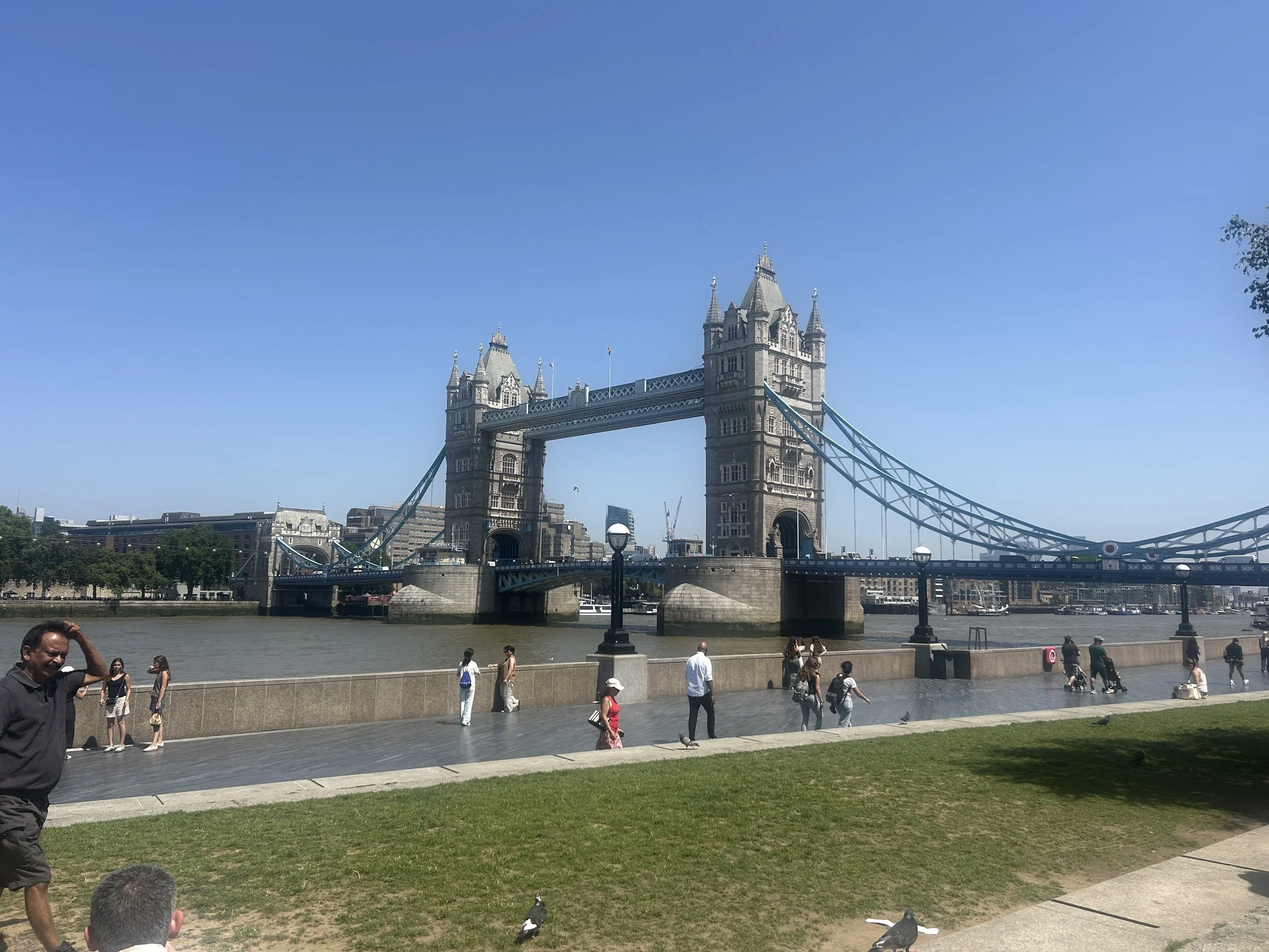 IMG_2213.jpeg