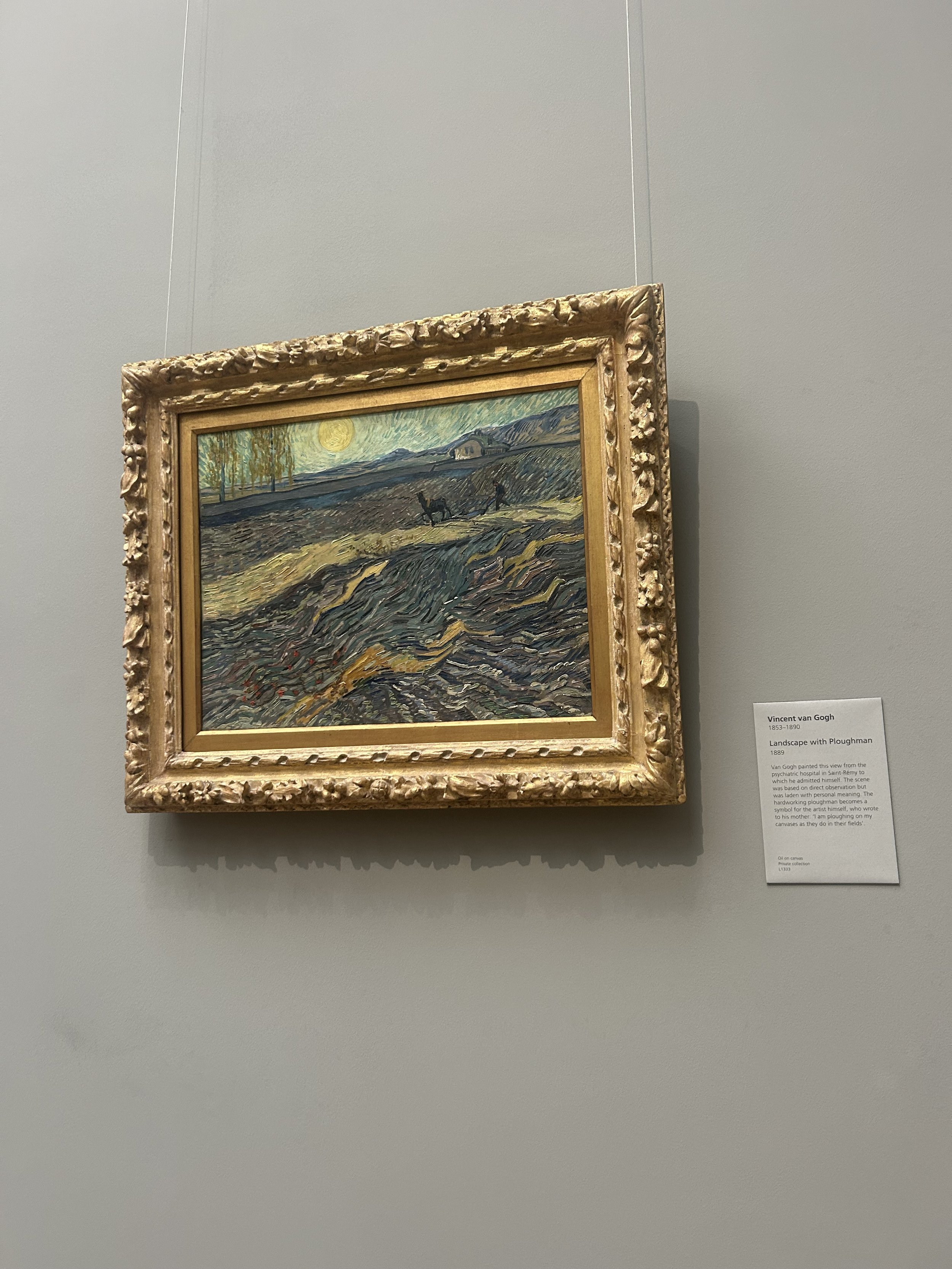 IMG_2270.jpeg