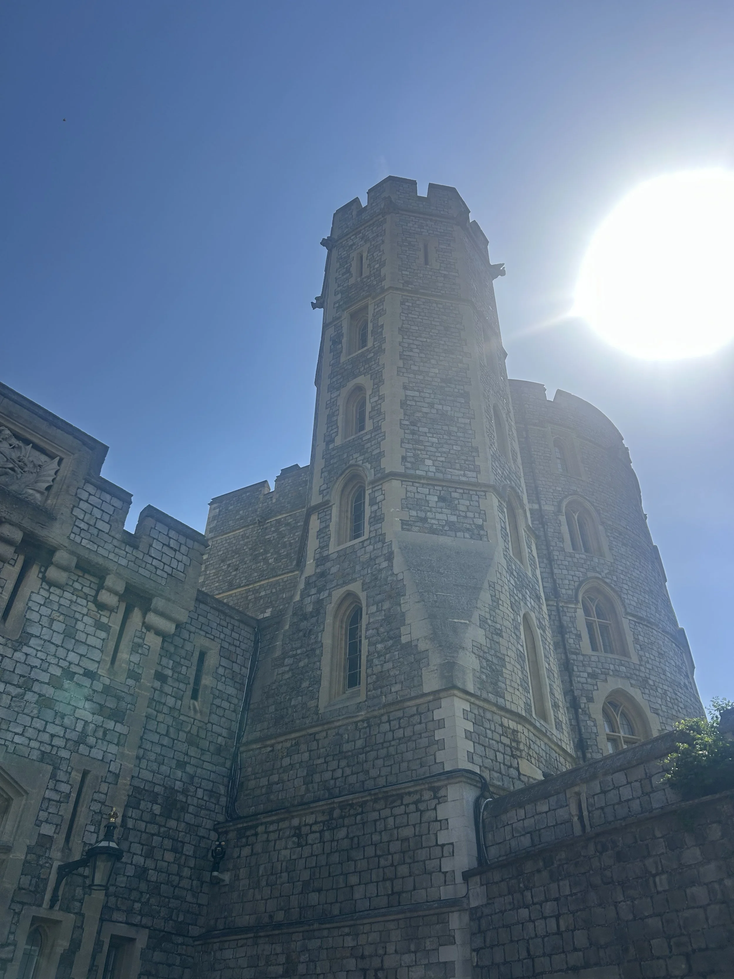 IMG_2324.jpeg
