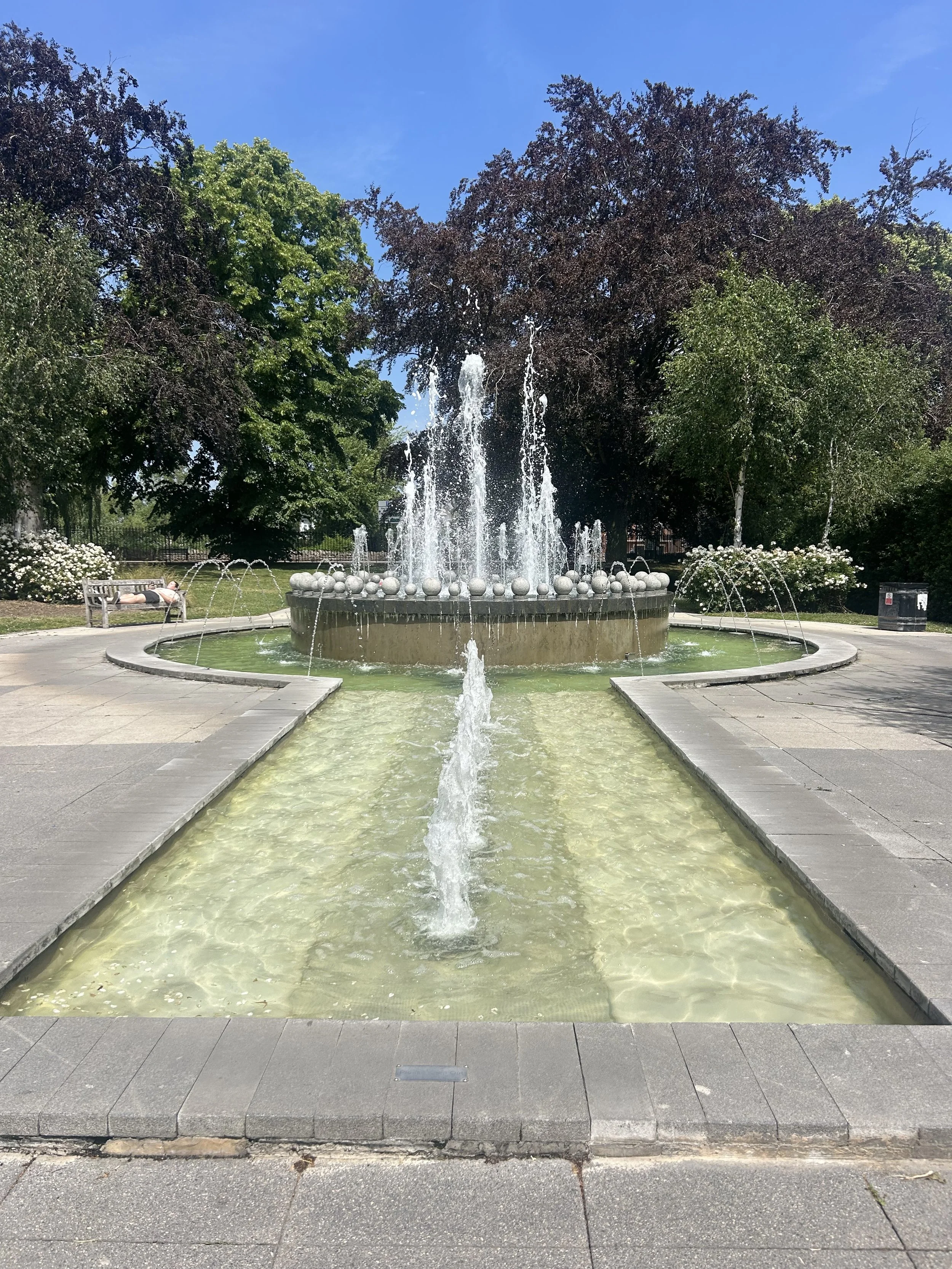 IMG_2343.jpeg