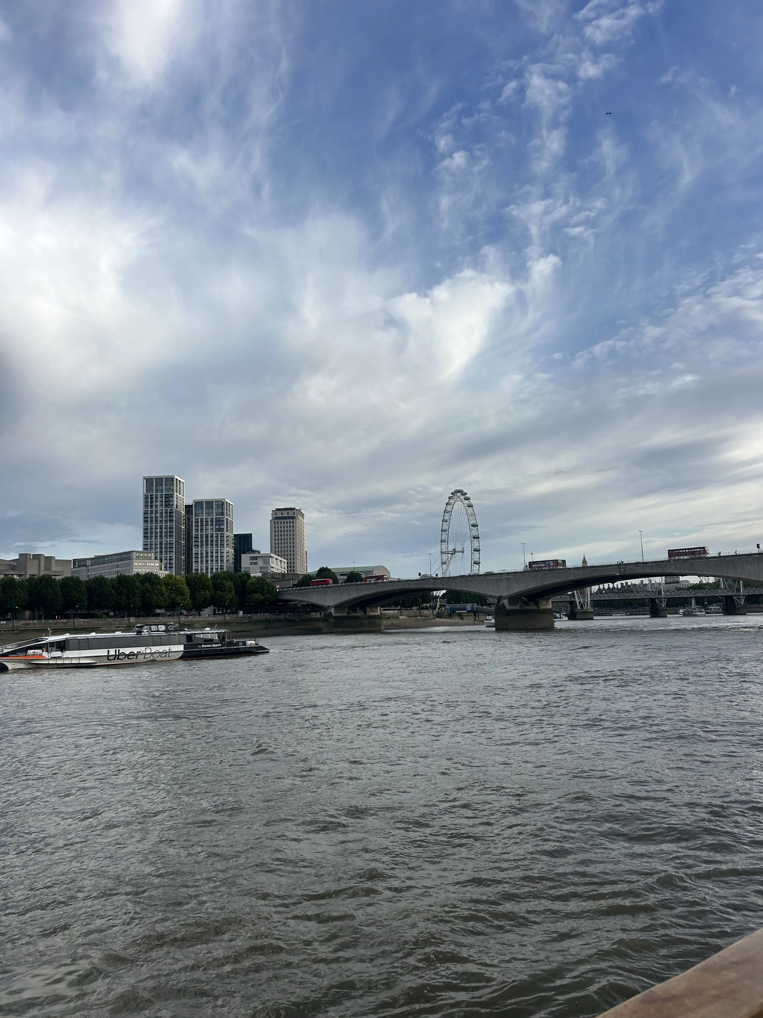 IMG_2500.jpeg
