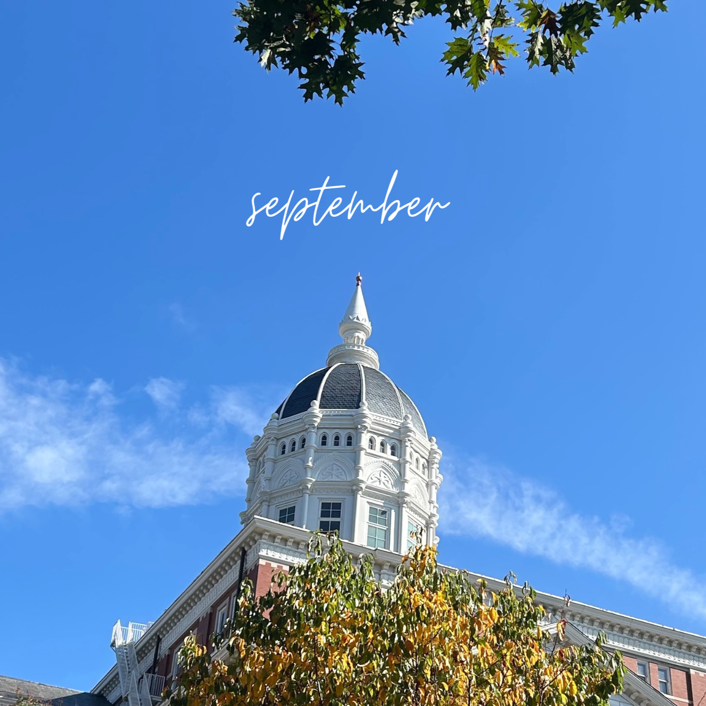 Your paragraph text.png