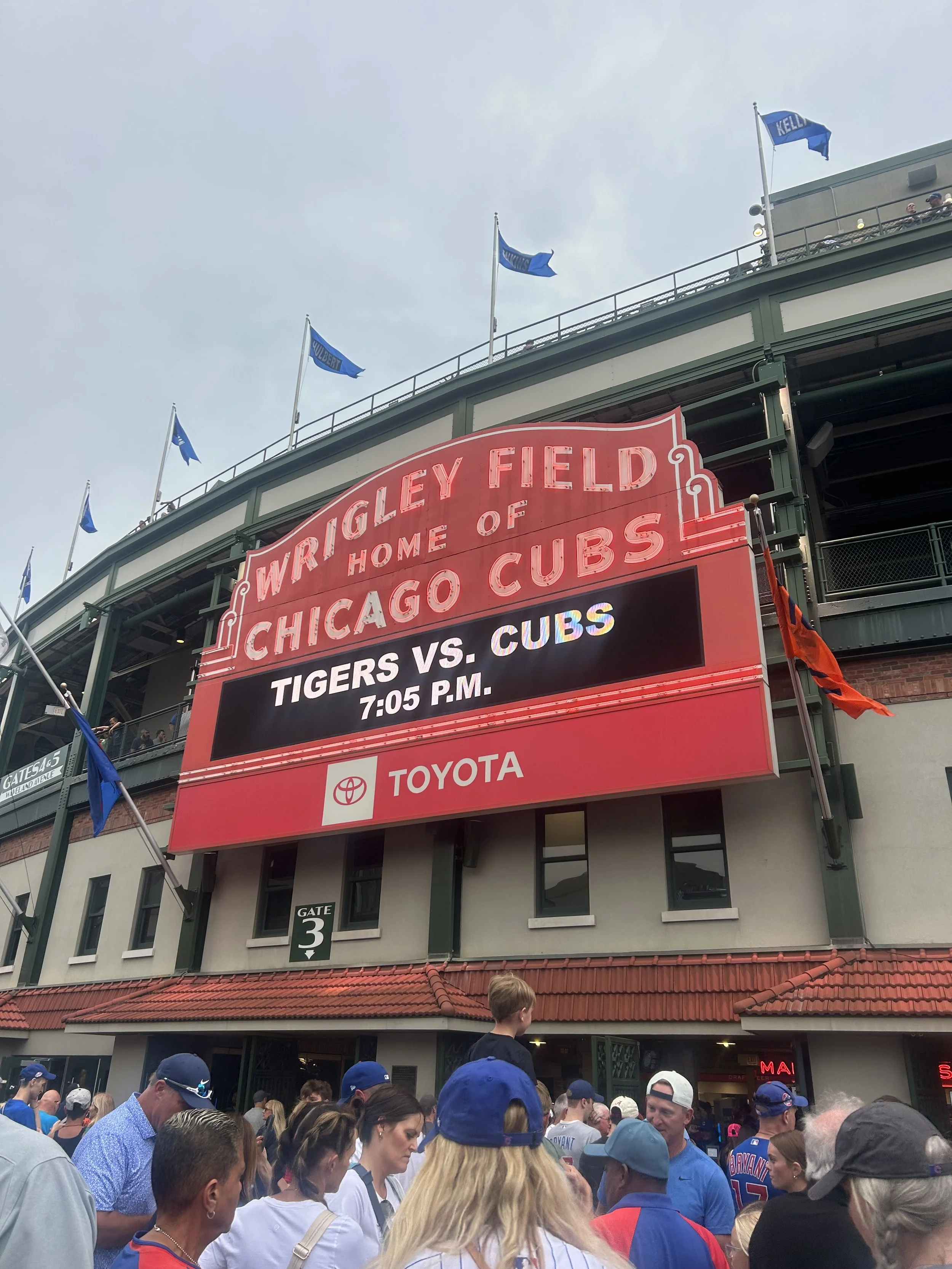 IMG_2867.jpeg