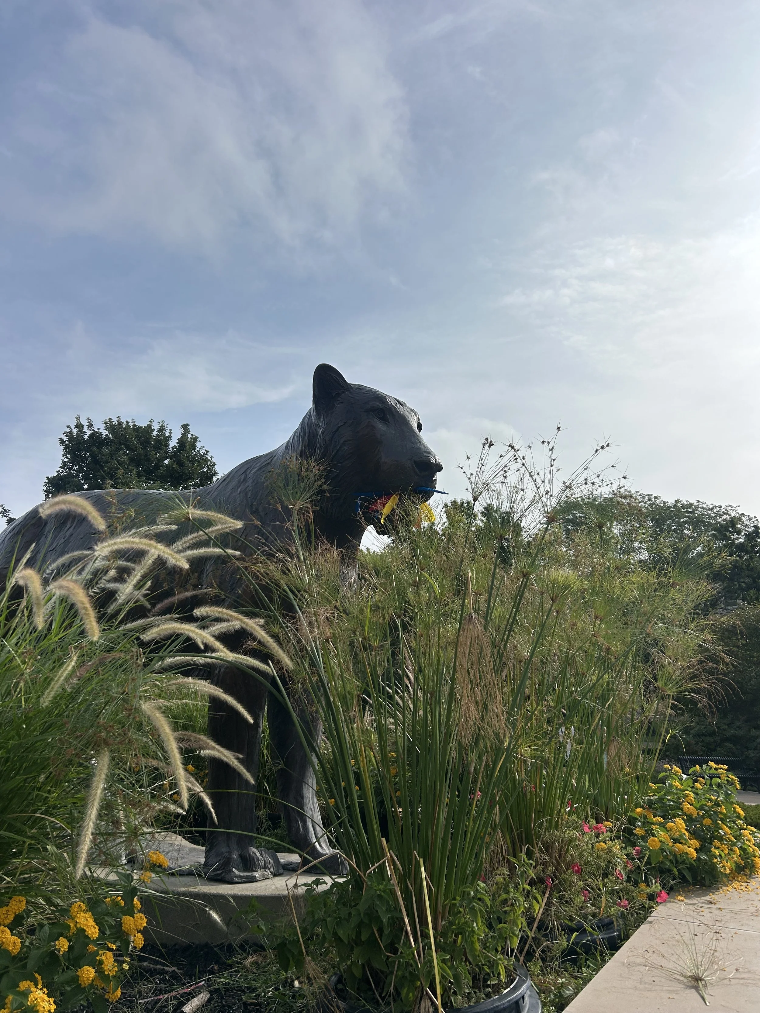 IMG_3542.jpeg