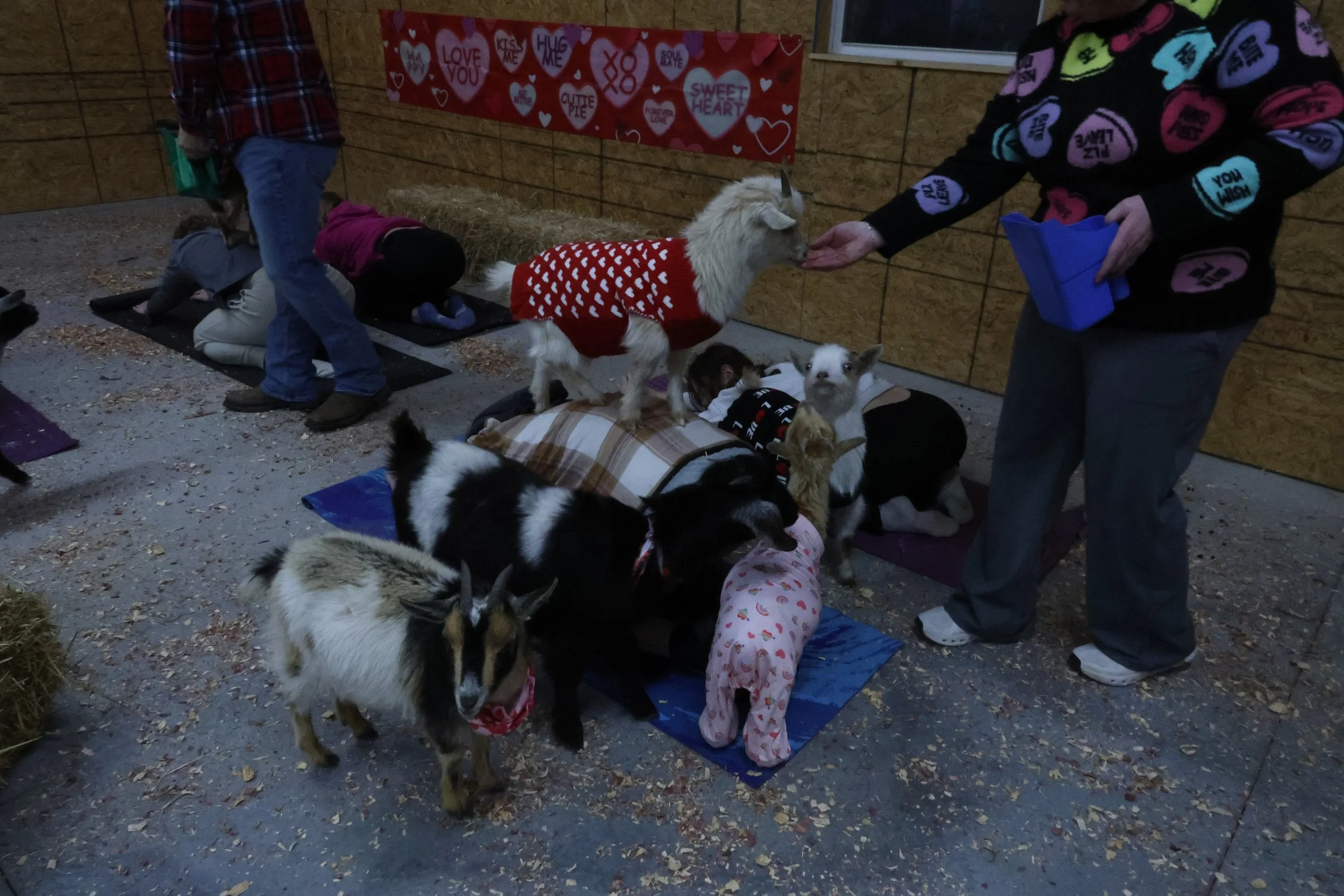 20250219_KI_GOATYOGA_5.jpg