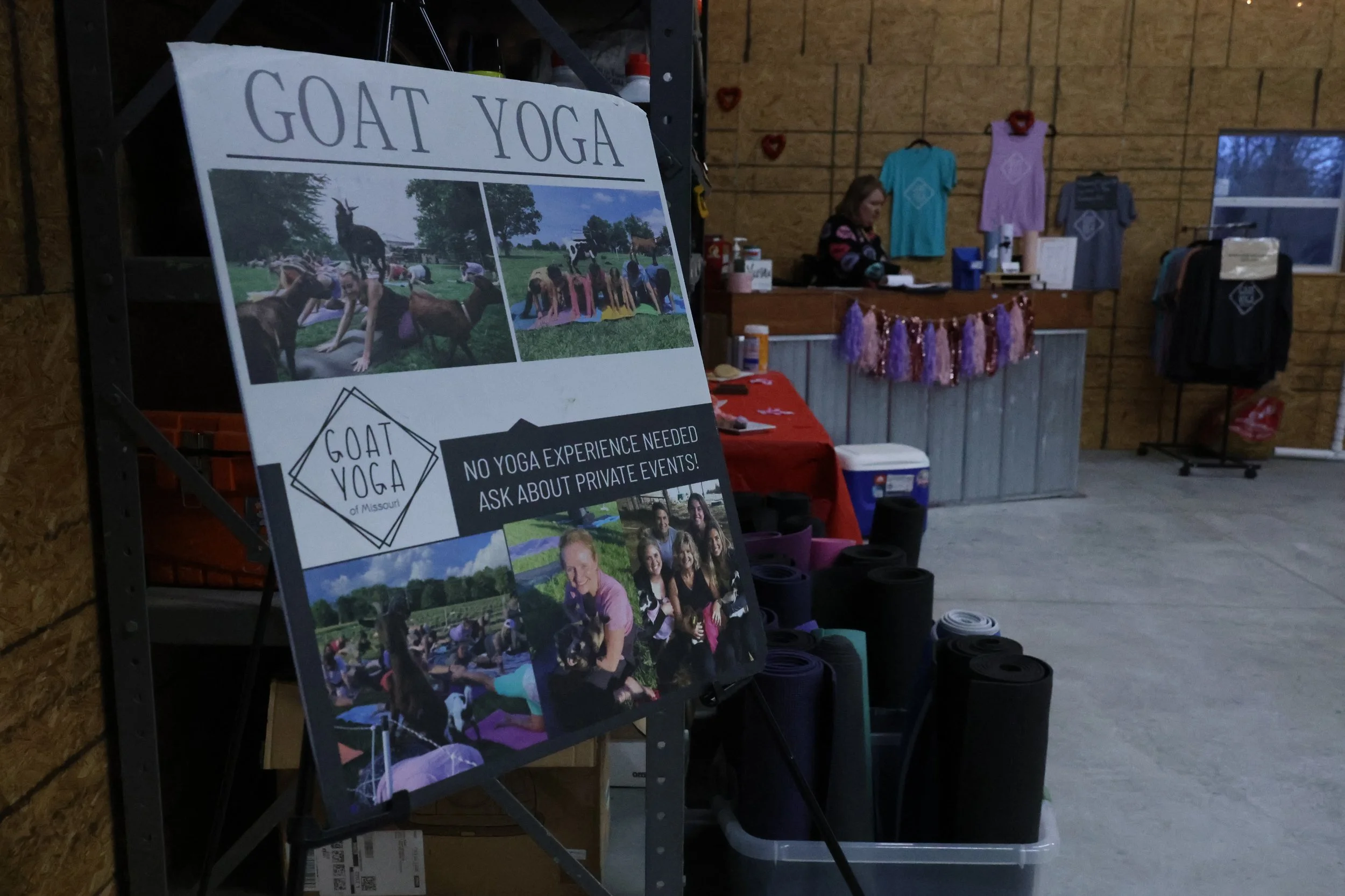 Goat Yoga: A Valentine's Day Session