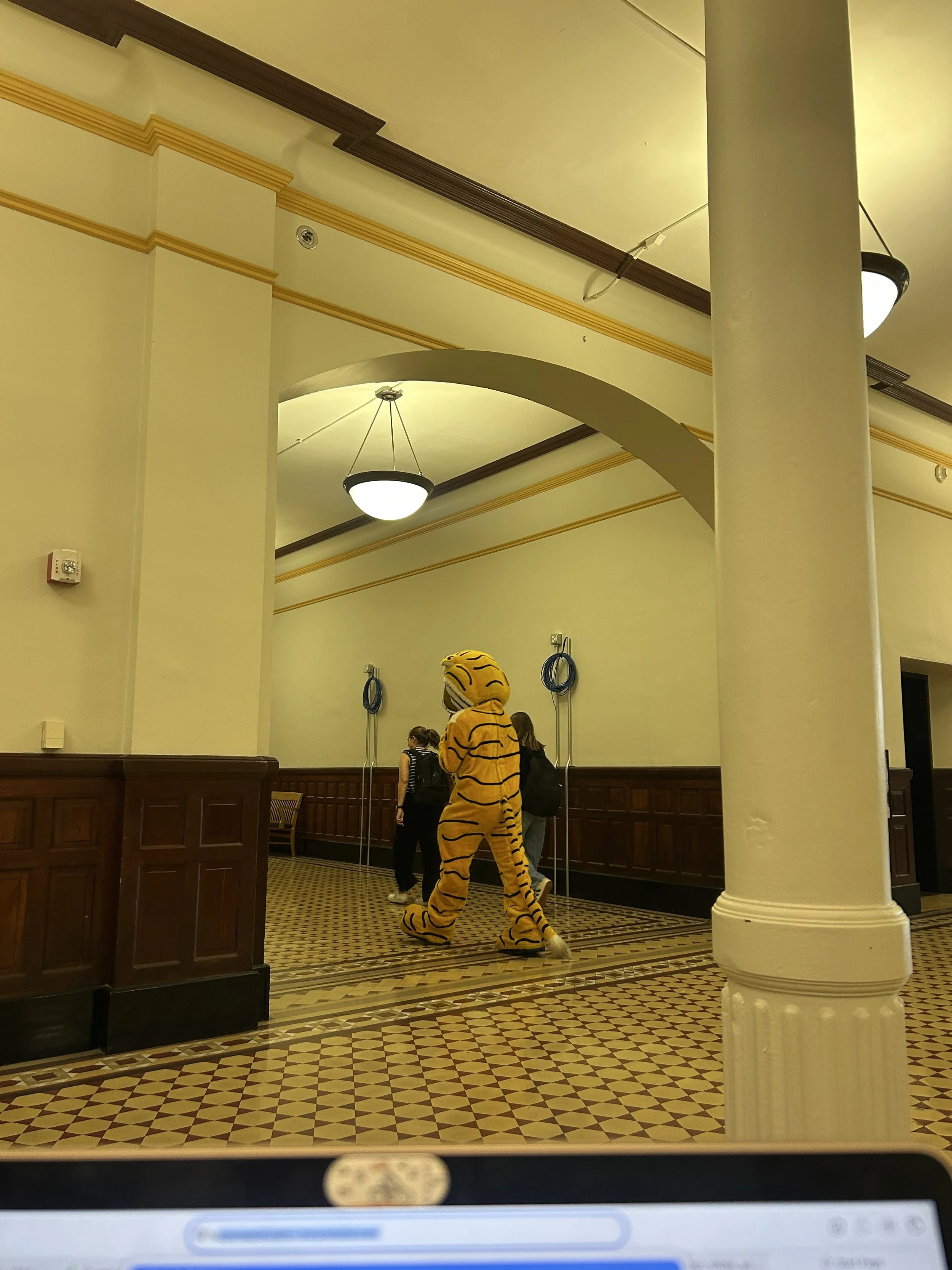 IMG_3658.jpeg