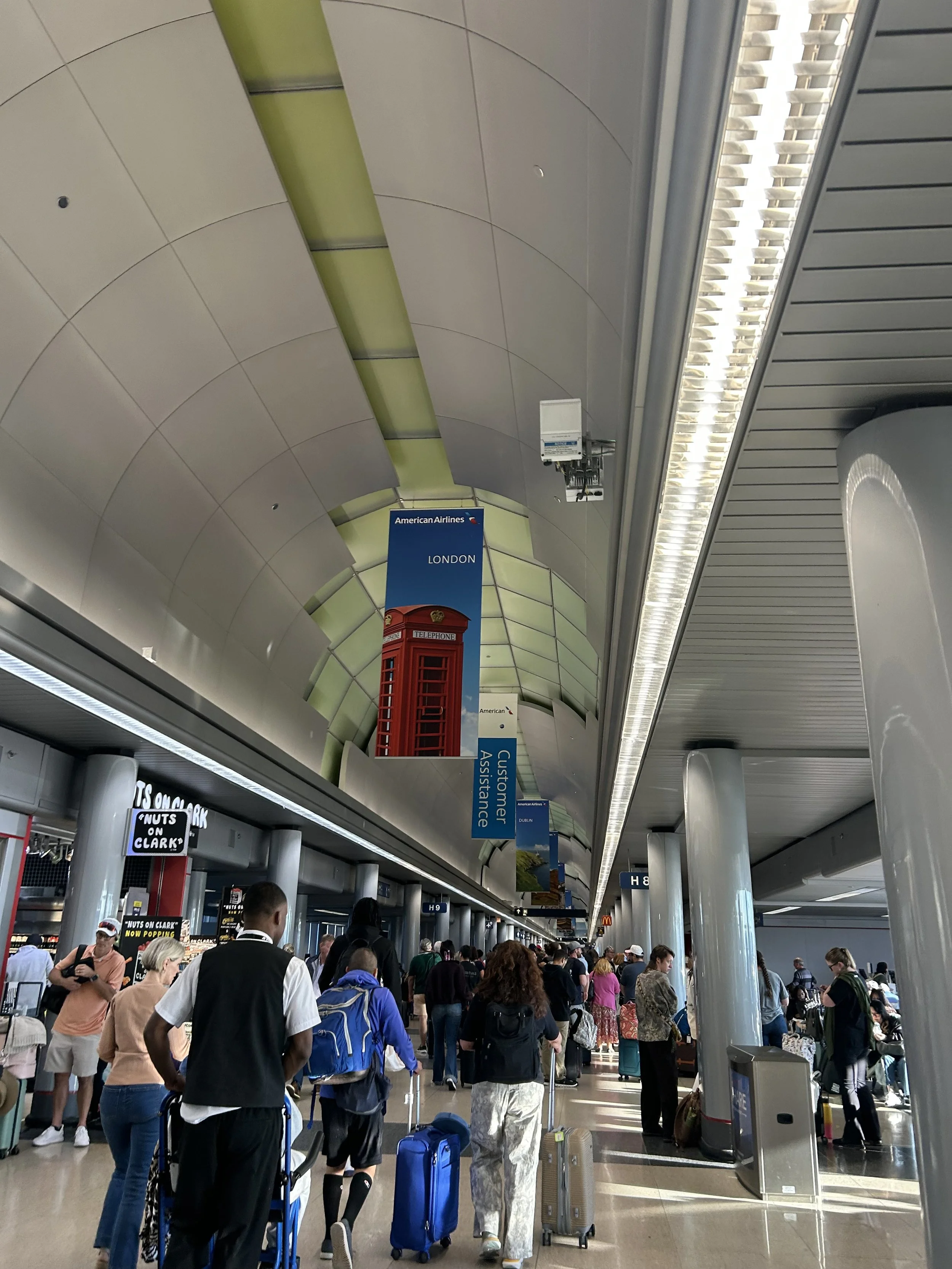 IMG_2053.jpeg