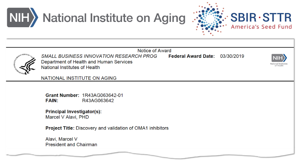 712 North Inc. Awarded NIH SBIR Grant to Advance Discovery of Novel OMA1 Inhibitors