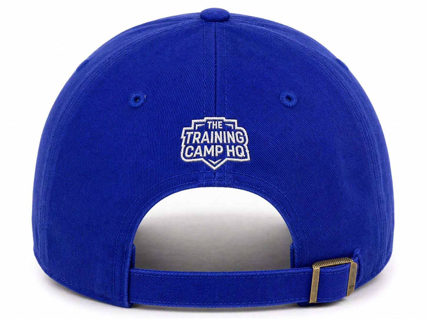 back of baseball forever hat ttchq.png