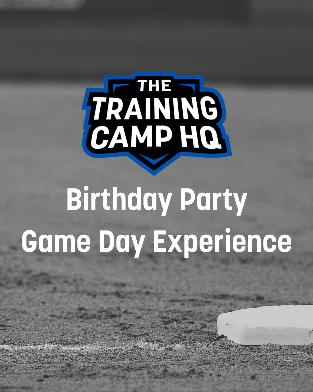 Birthday Party - Game Day Experience