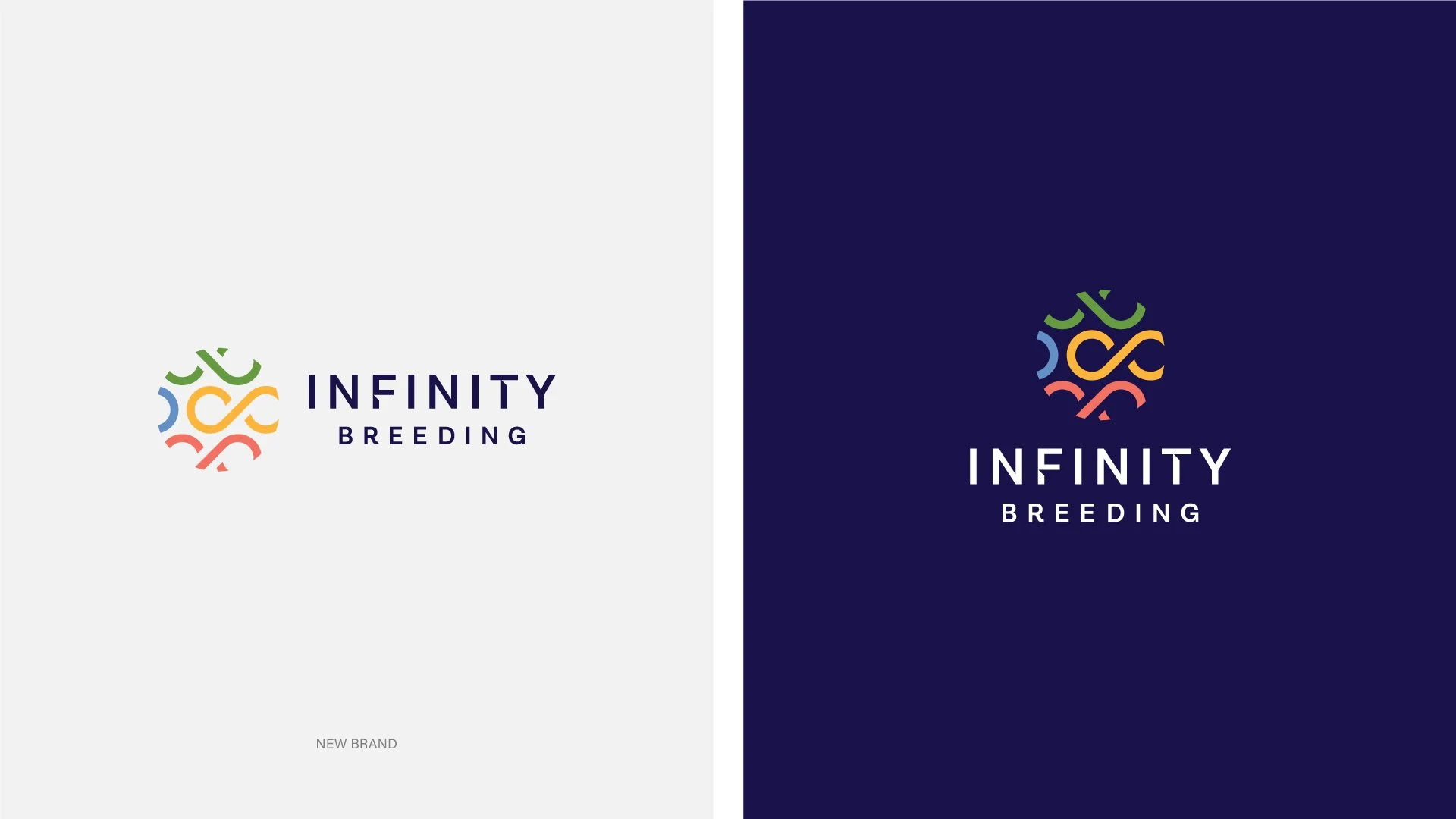 INFINITY-2.jpg