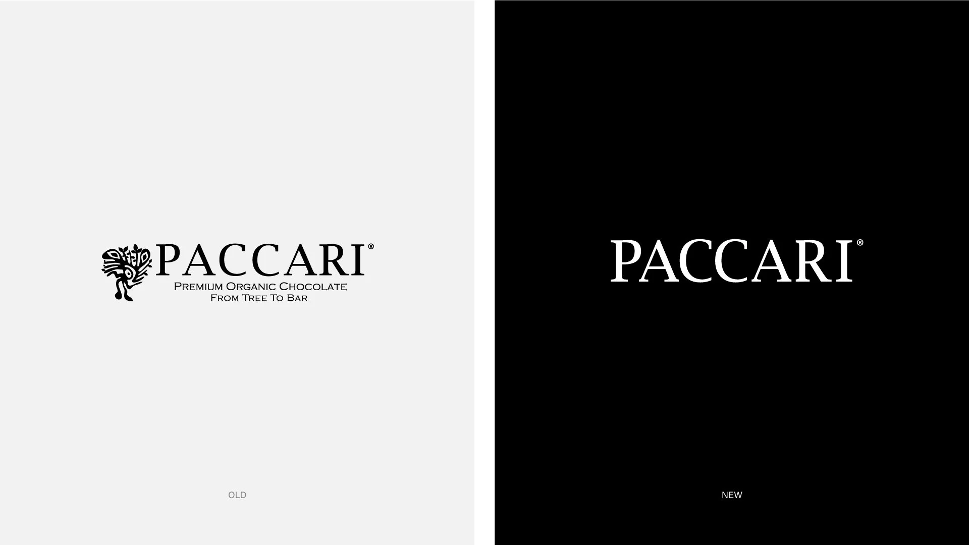 PACCARI-web-01.jpg