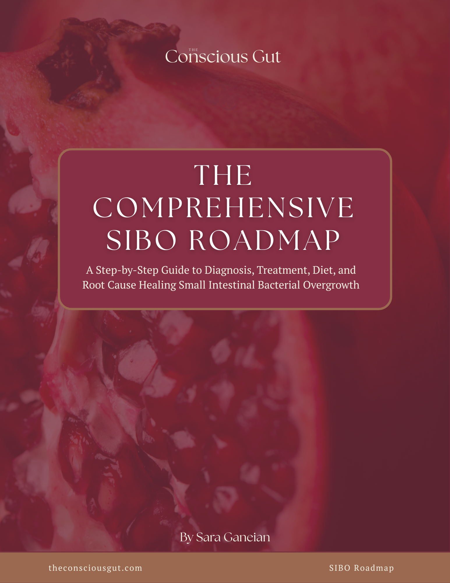 TCG Sibo Roadmap.png