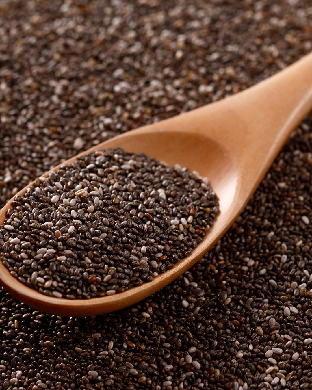 The Conscious Guts Fiber Guide