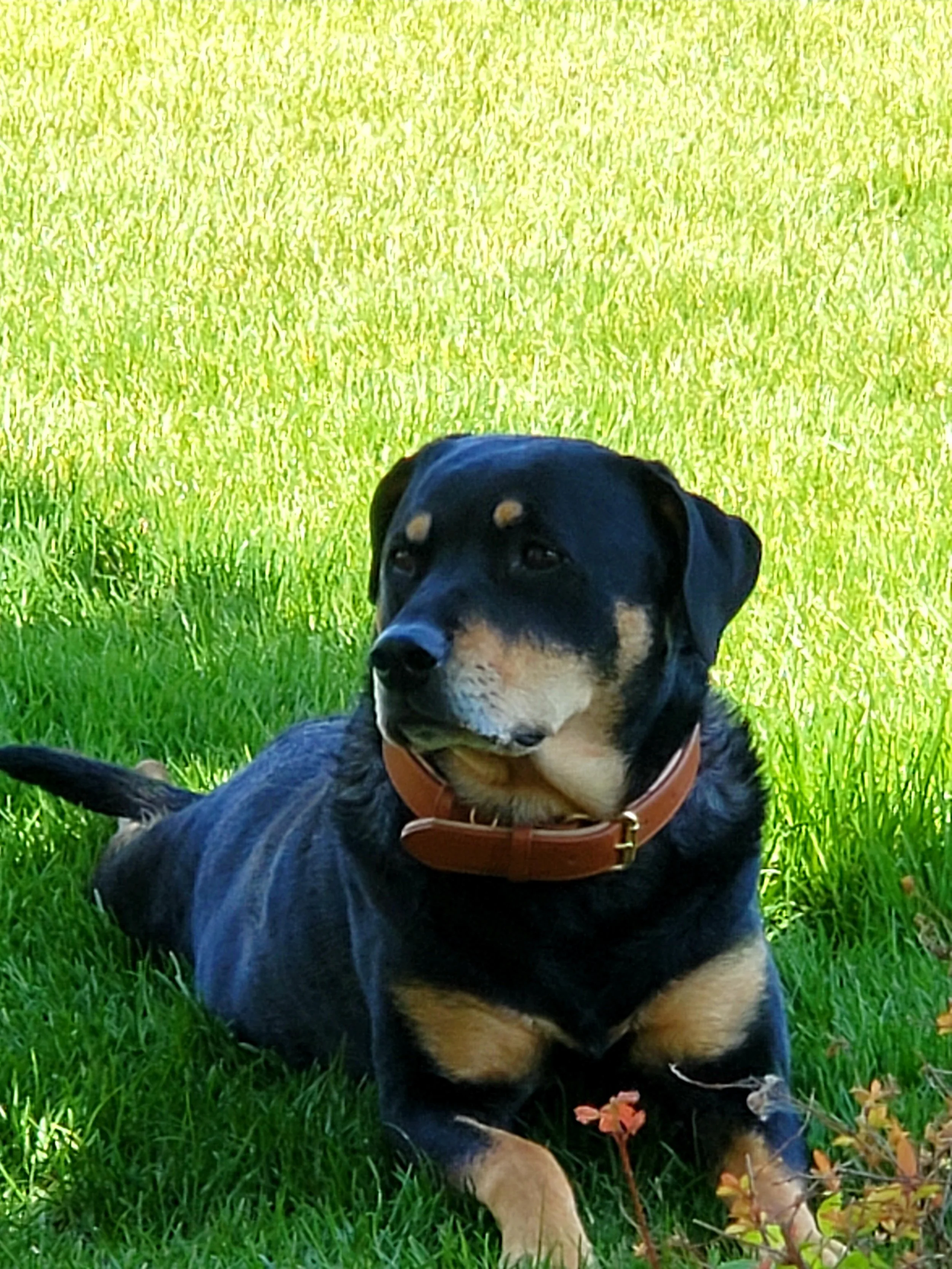 Redefining Success               (in the middle of a mess)