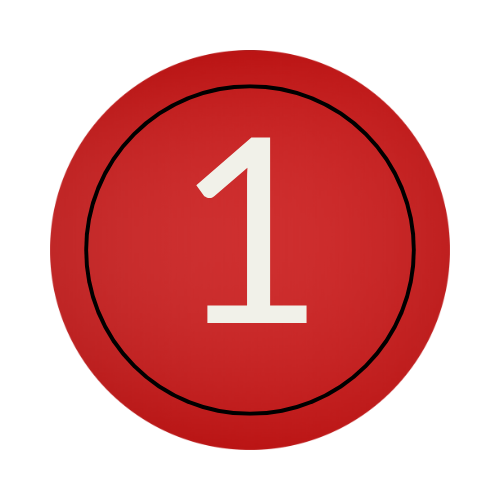 Type 1 – The Reformer (PDF ONLY)