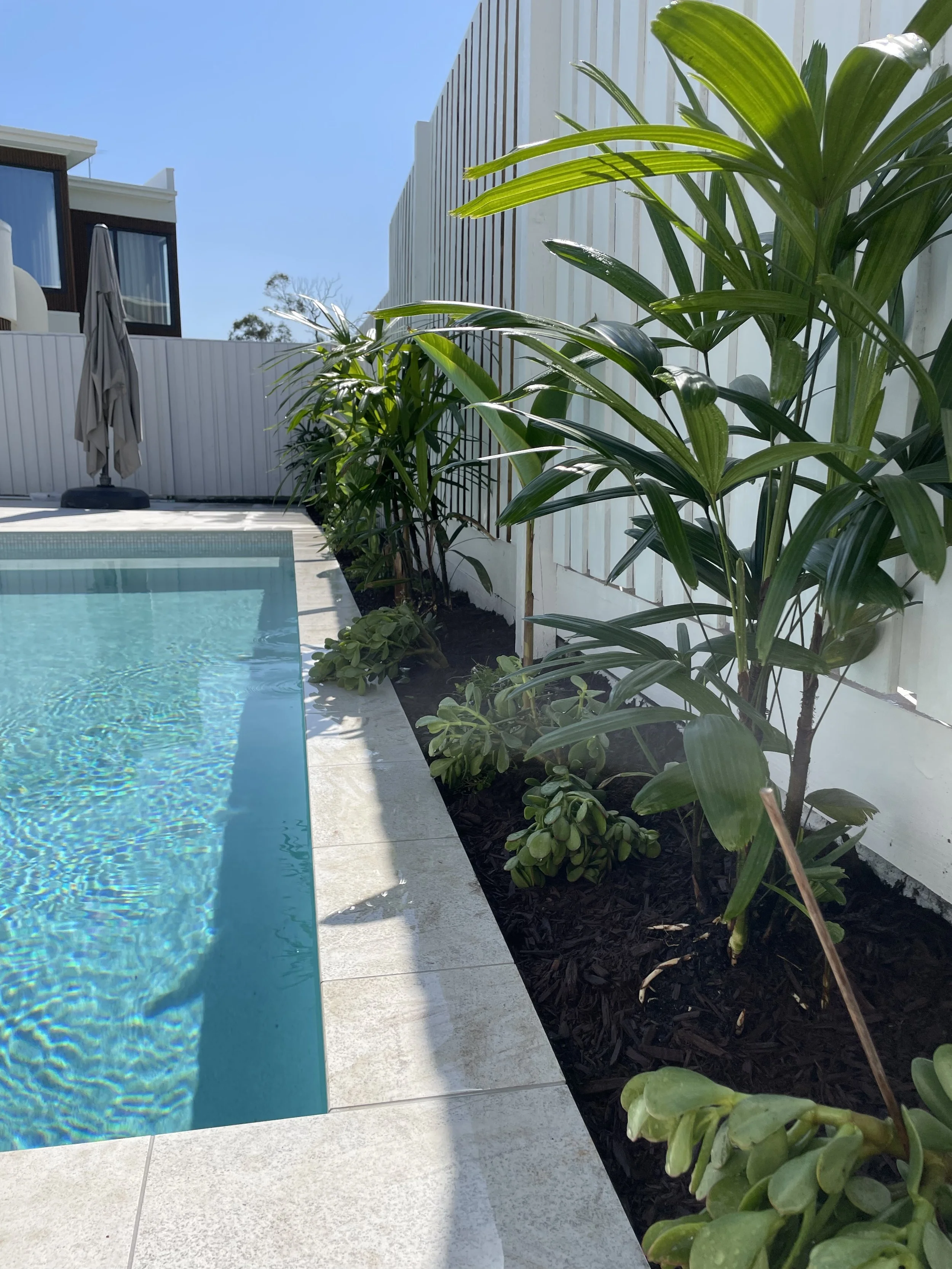 Side view of a backyard pool with a concrete deck, surrounded by green plants and a white wooden fence, under a clear blue sky.