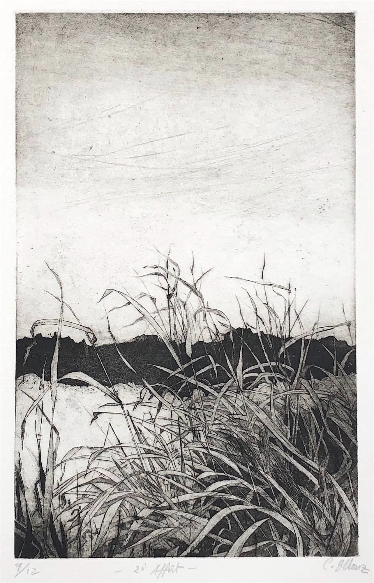 Natures :: Lin-ni Liao