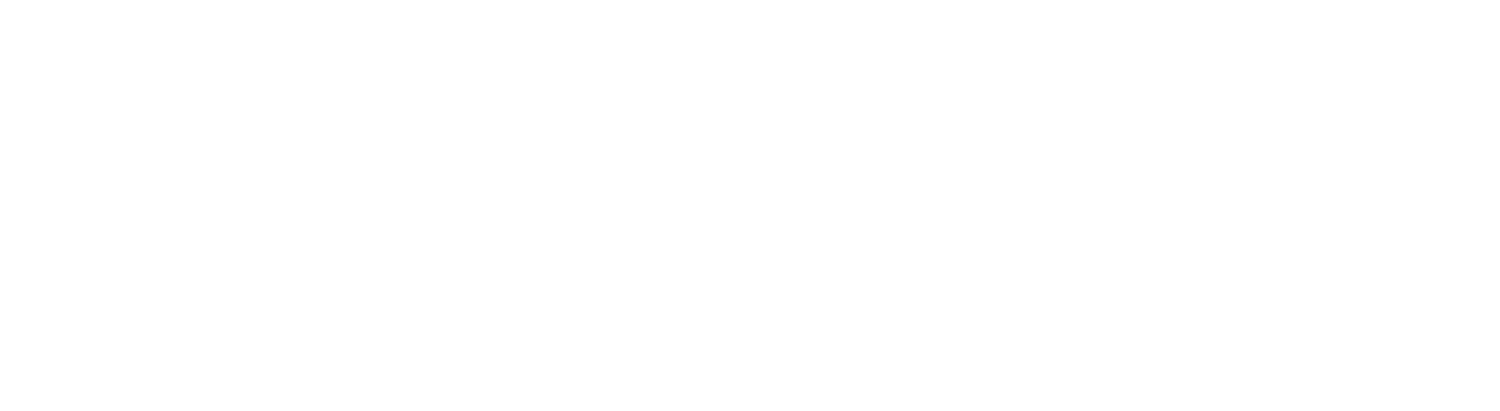 White PetroQuip SandStorm-E logo on a transparent background