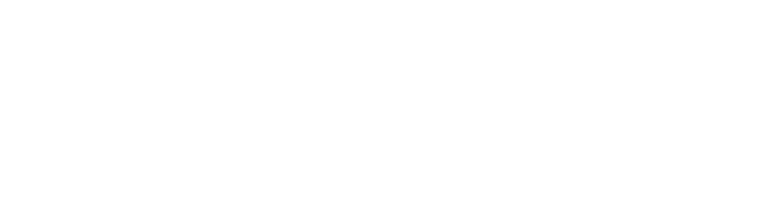 White PetroQuip GasStorm logo on a transparent background
