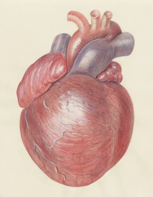 Too Little, Too Late - Heart Failure with Reduced Ejection Fraction