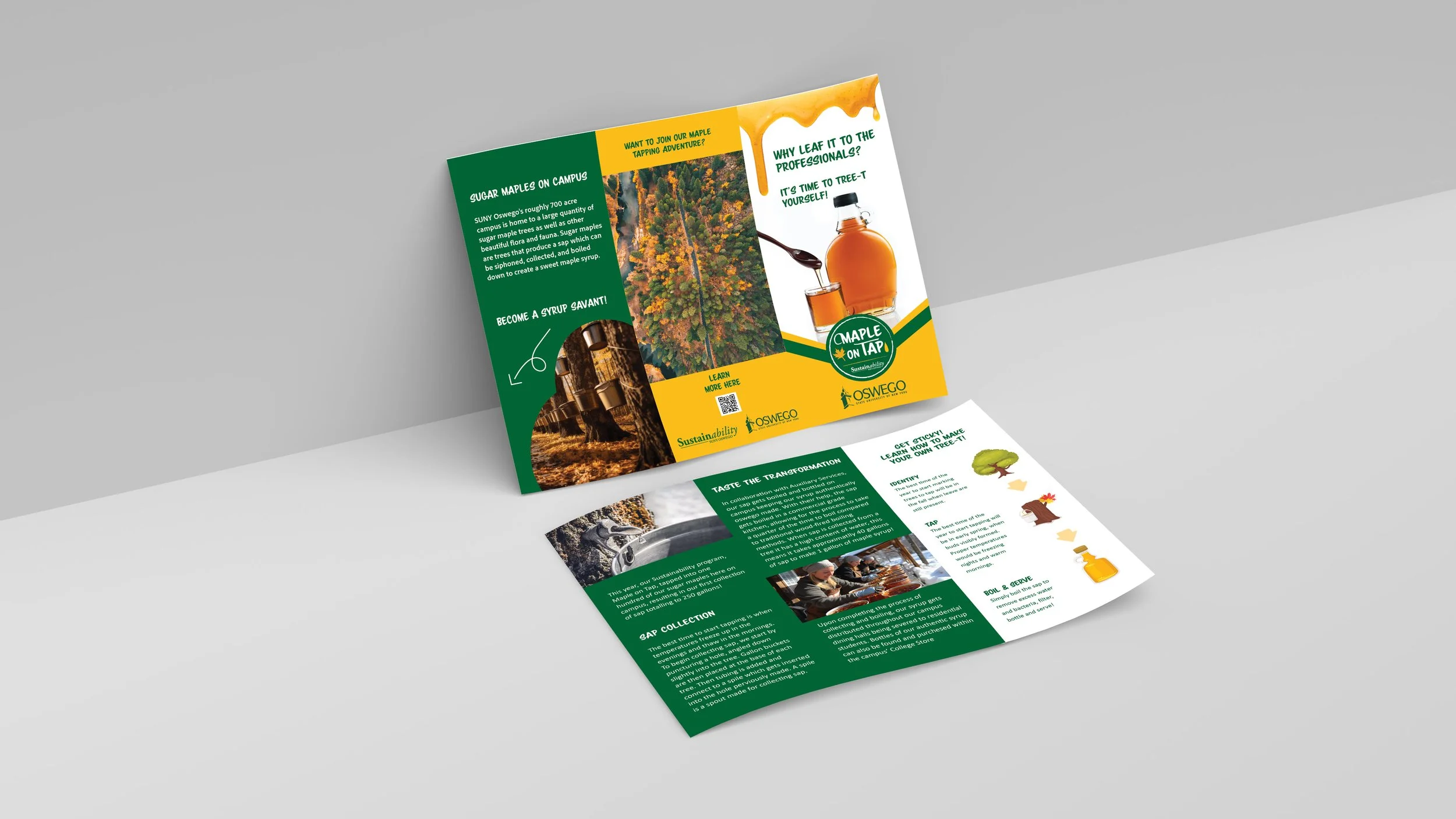 Dominguez_A_308_P3_MapleSyrupDisplay_Brochure.jpg