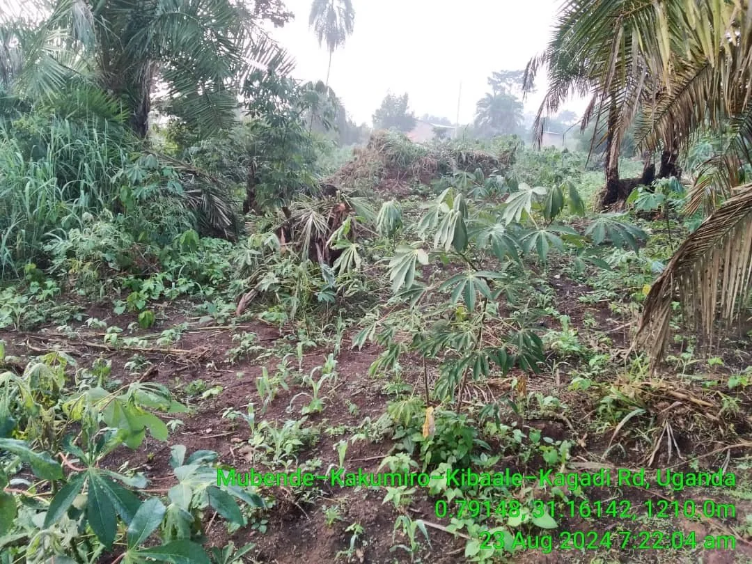 06 The Janice D. Steenblik Learning Centre