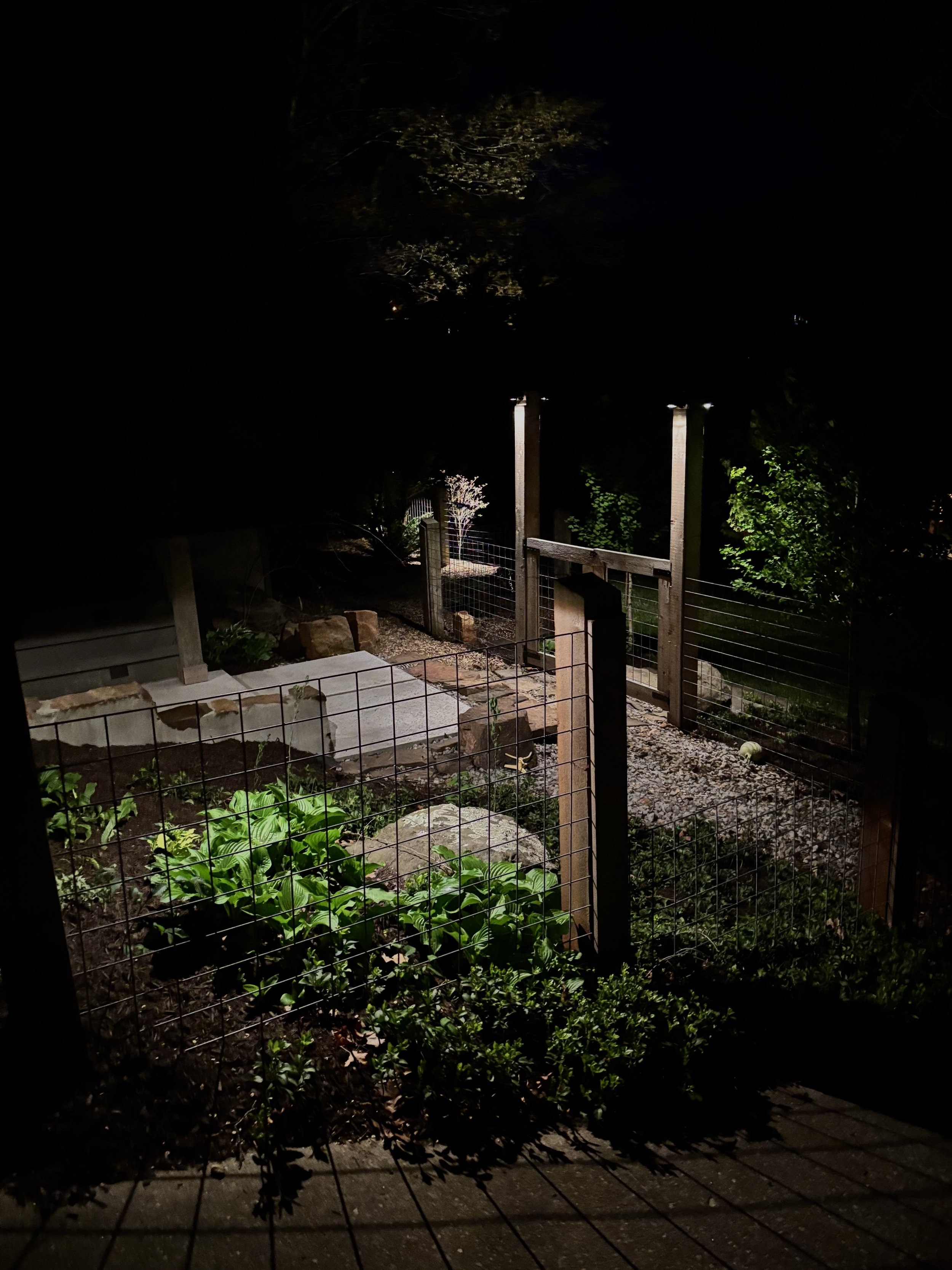 Premier Outdoor Lighting and Audio flower bed lighting.jpeg
