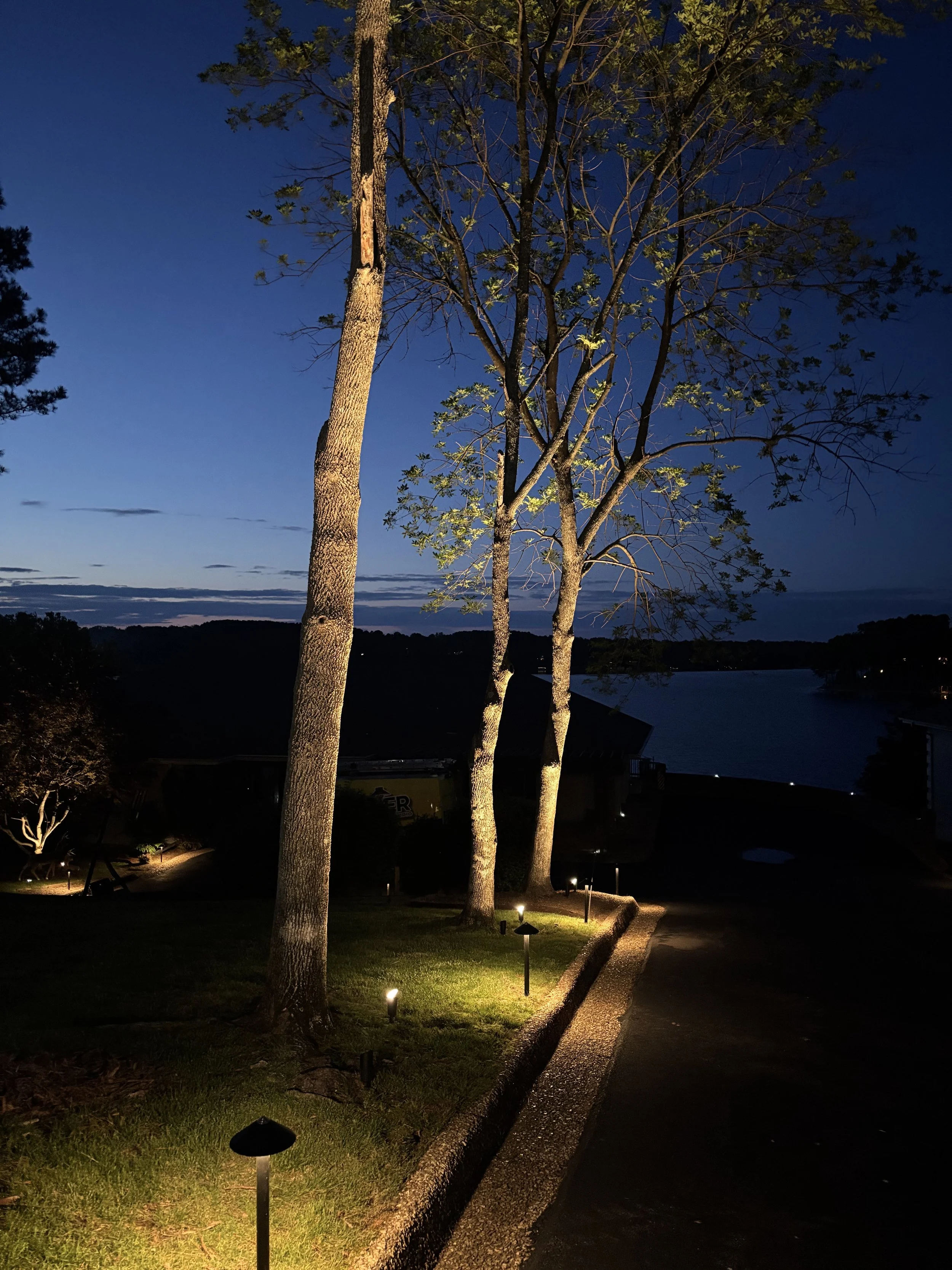 Best landscape Lighting comany Bella Vista.jpeg