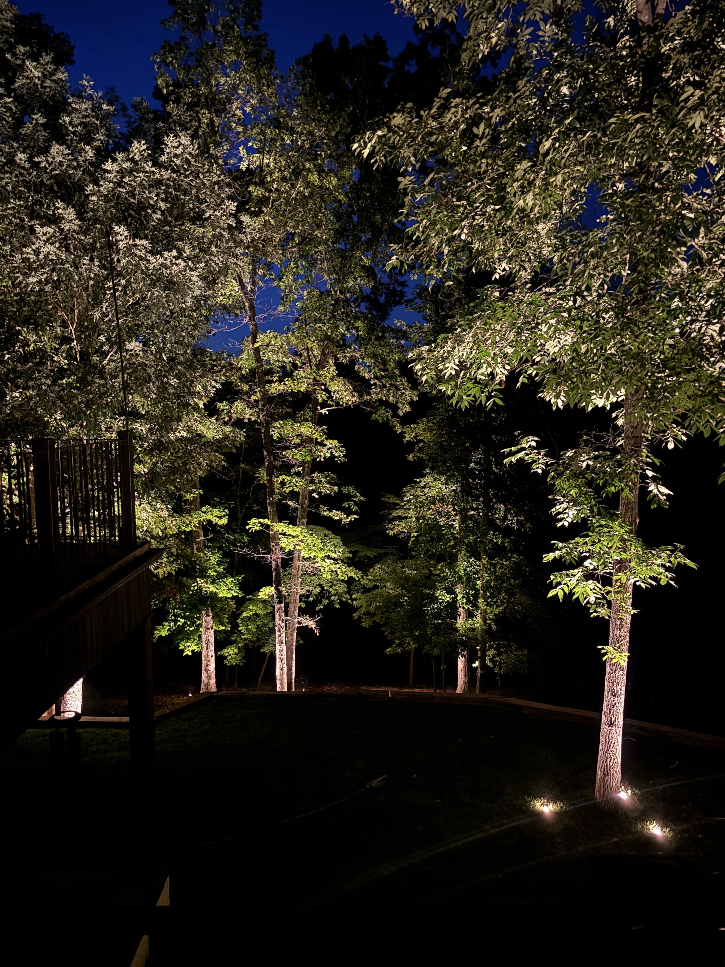 Professional tree uplighting and landscape lighting installation illuminating trees at night in Northwest Arkansas