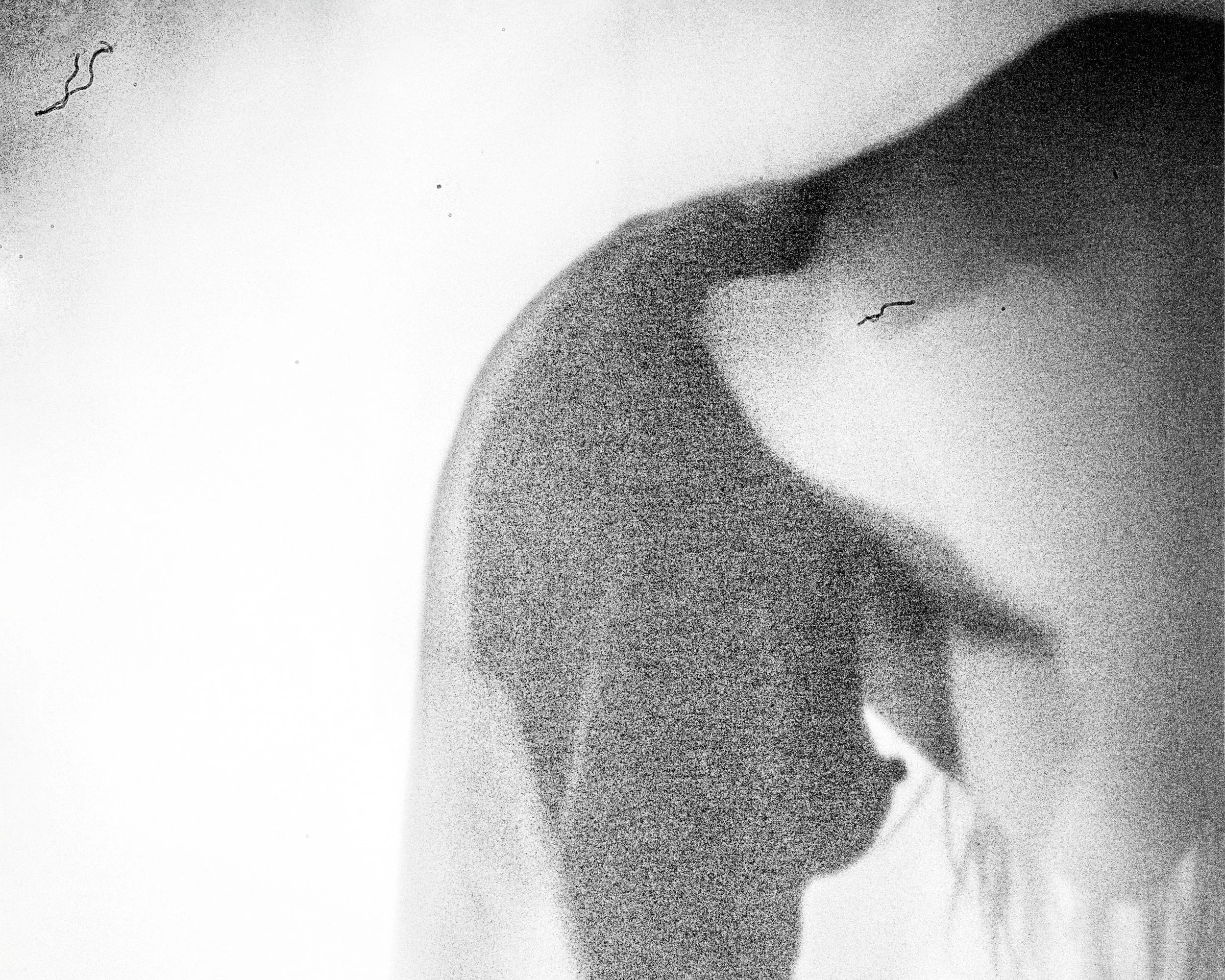 2X3A1762-Edit-Edit.jpg
