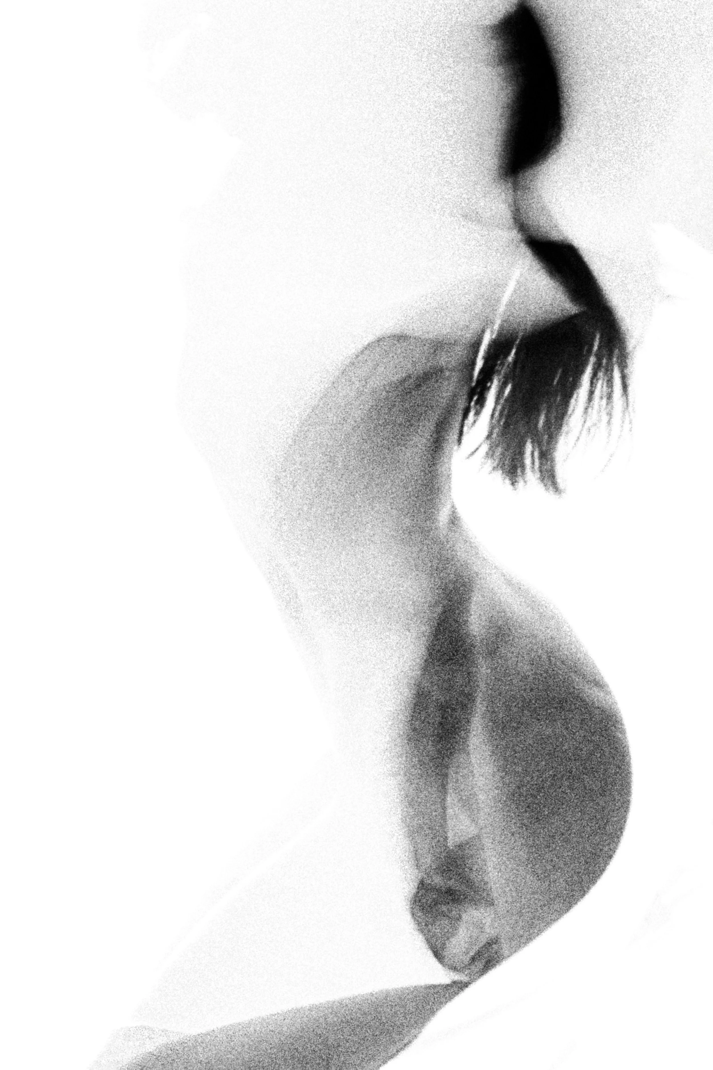 2X3A1650-Edit.jpg