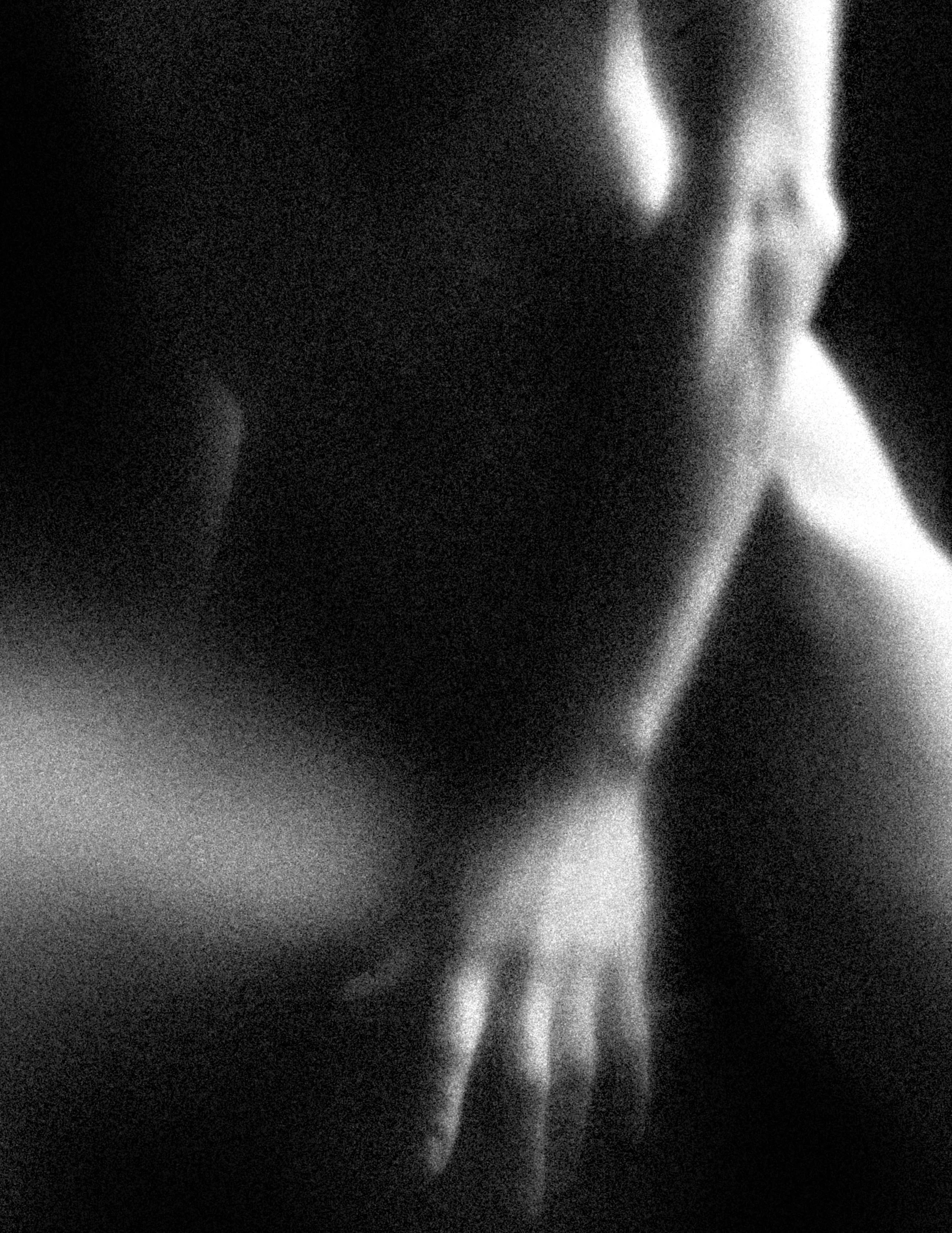 2X3A7365.jpg