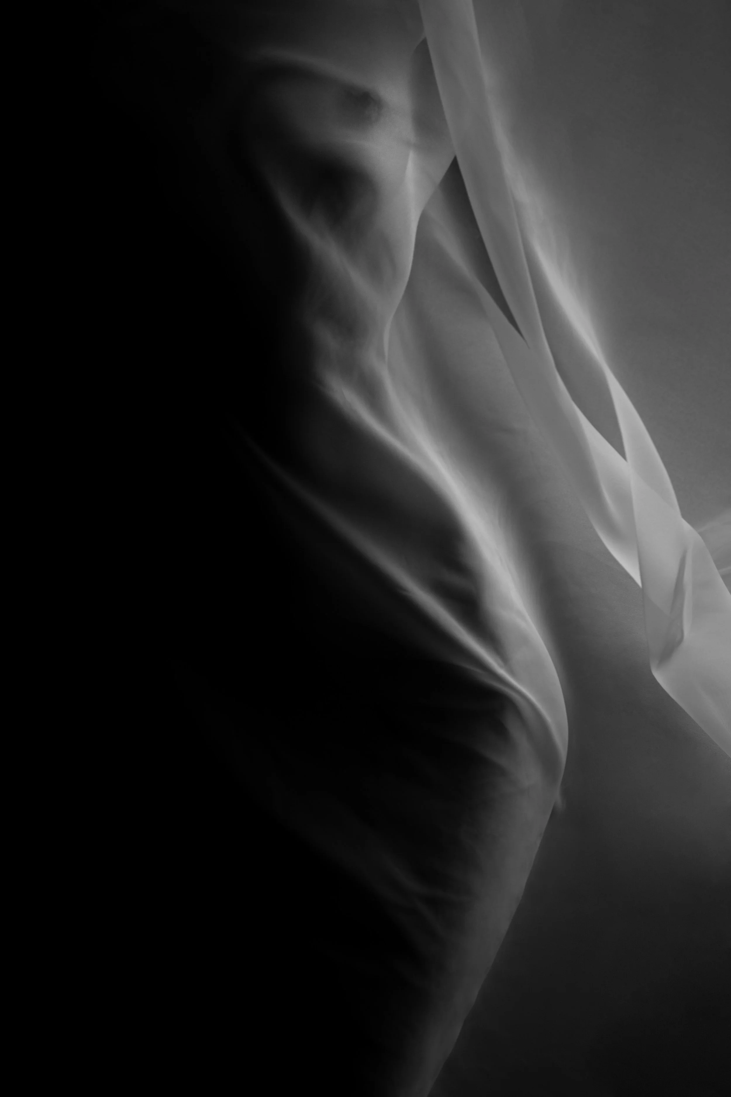 2X3A1149_bnw2.jpg