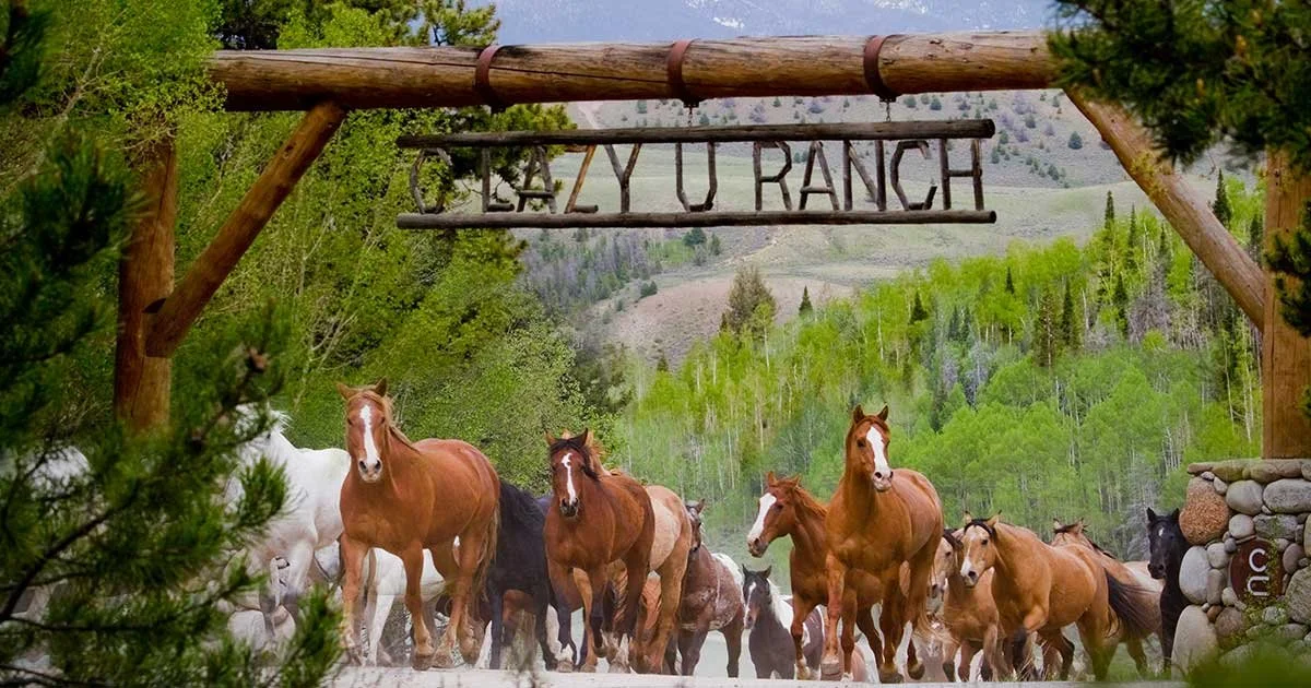 C Lazy U Ranch, a Stay True Coffee Solutions partner