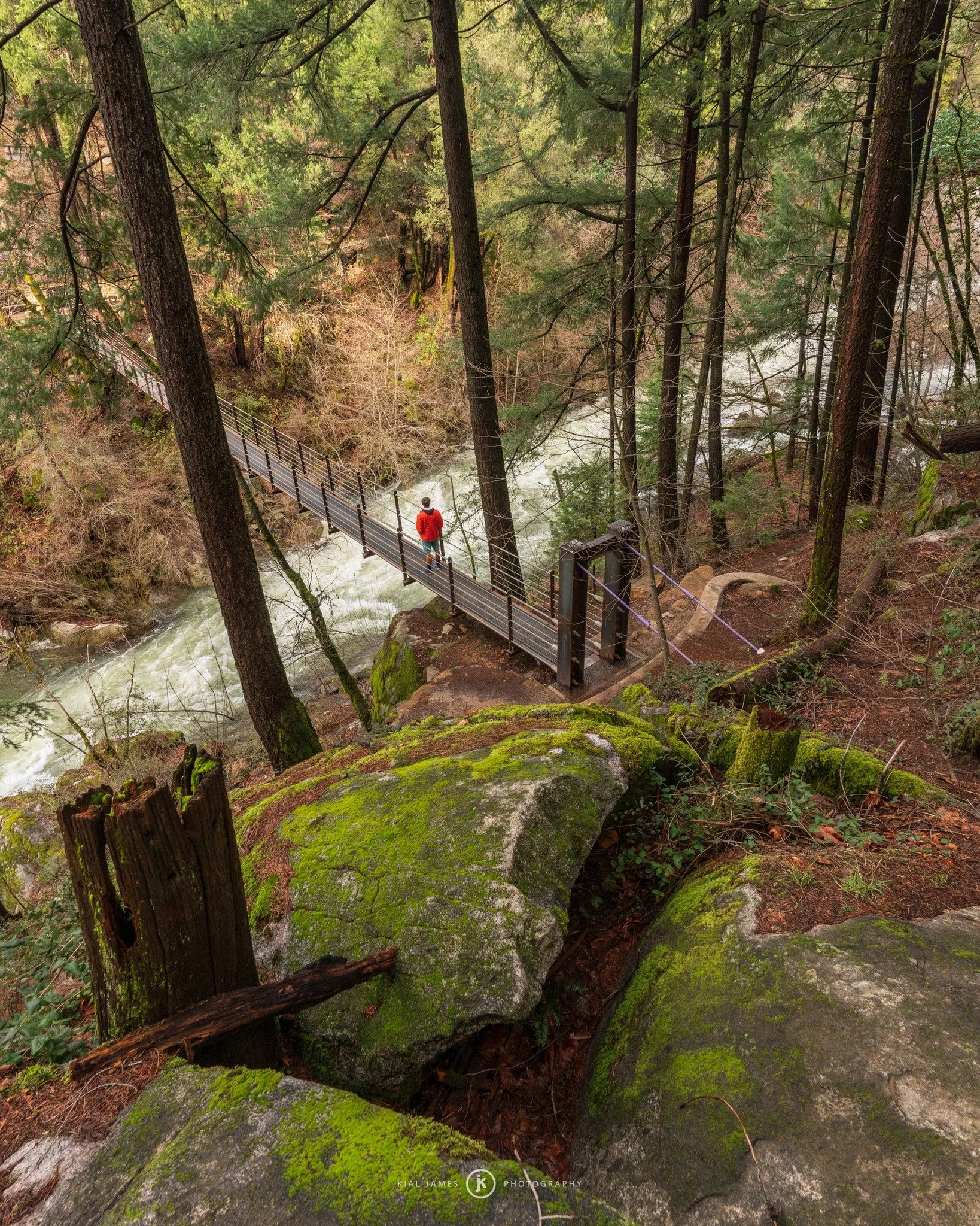 Need a weekend reset?

Step into the forest.
Listen to the flow of water.
Let God&rsquo;s creation do what it does best.

No politics. No noise. No screens. 
Just peace.