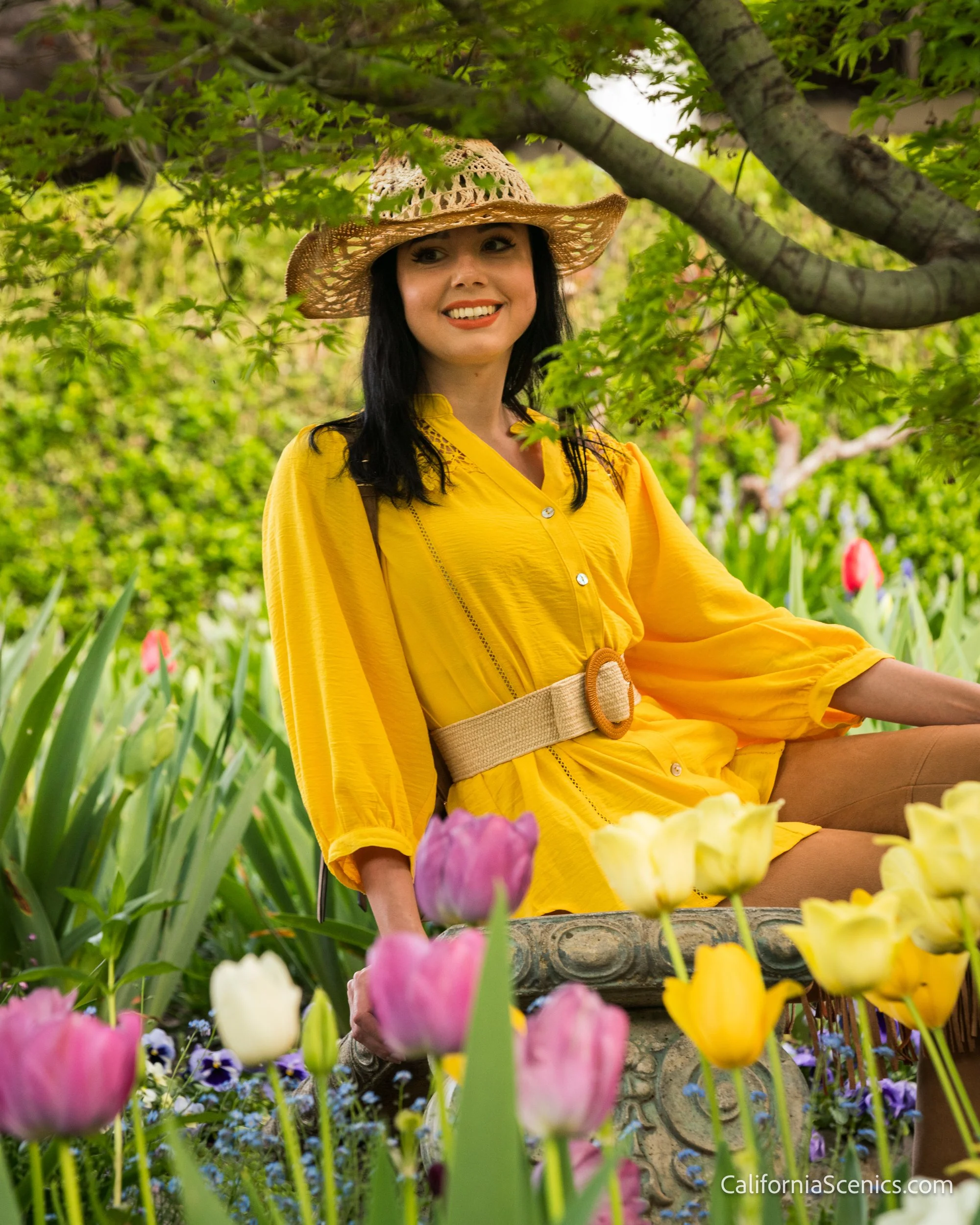 Twilight Tulips Returns to Crystal Hermitage Gardens