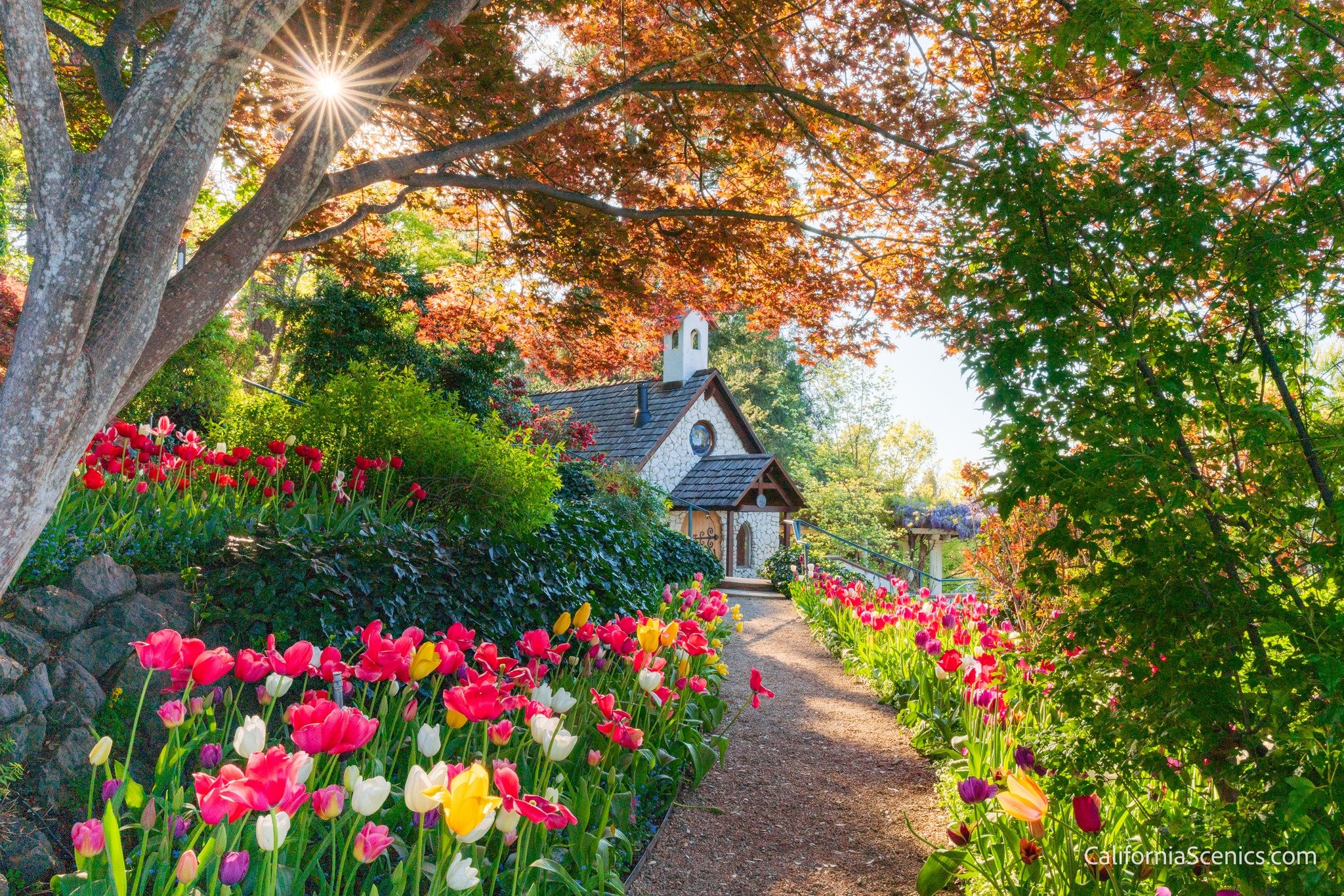 Happy Sunday, everyone. Just a quick note that ticket sales have opened for the annual Photo Walk at Crystal Hermitage Gardens. This is an exclusive after-hours event, which means we&rsquo;ll have the gardens to ourselves and photograph the tulips du